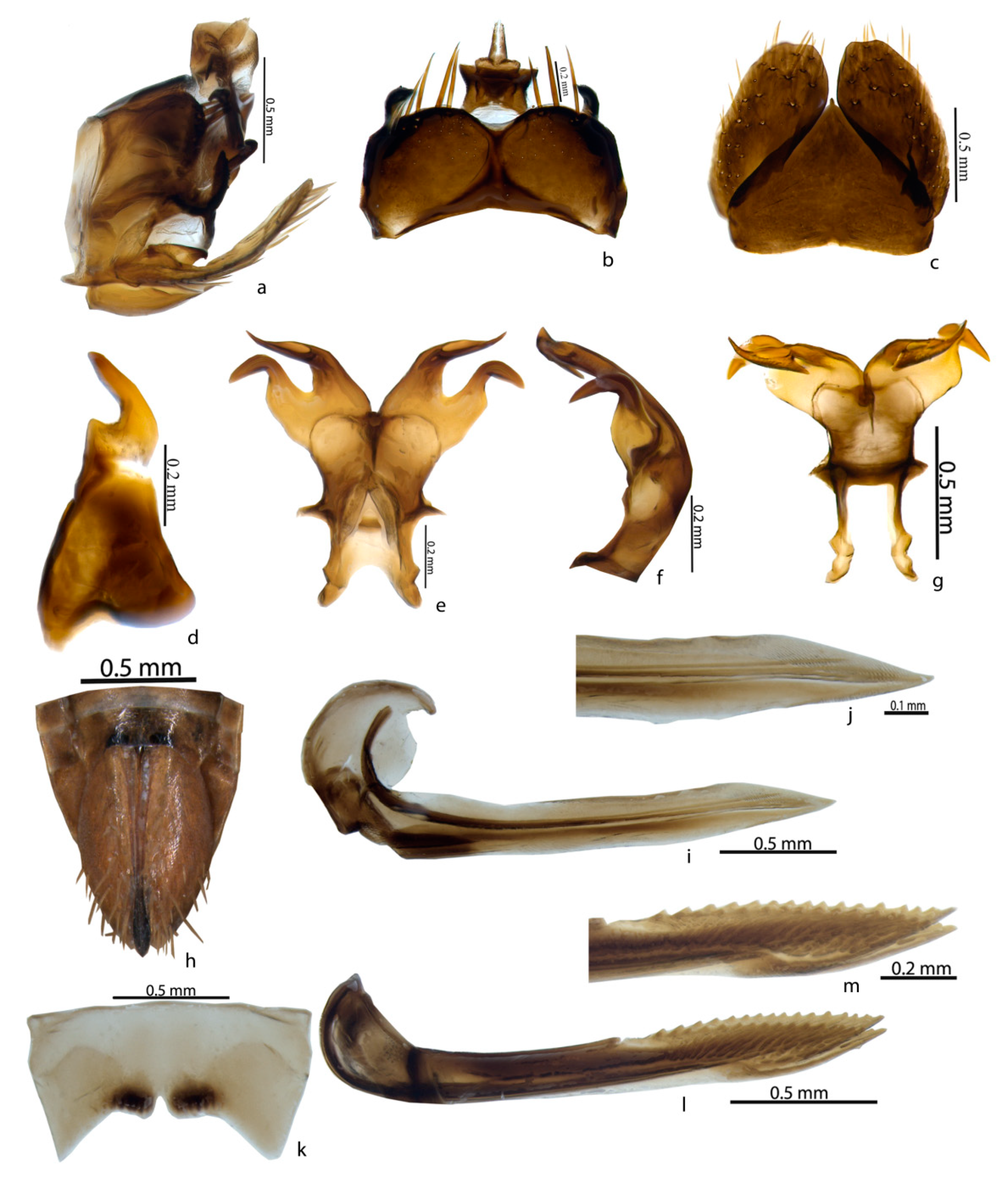 Insects 14 00044 g004 Insects 14 00044 g004