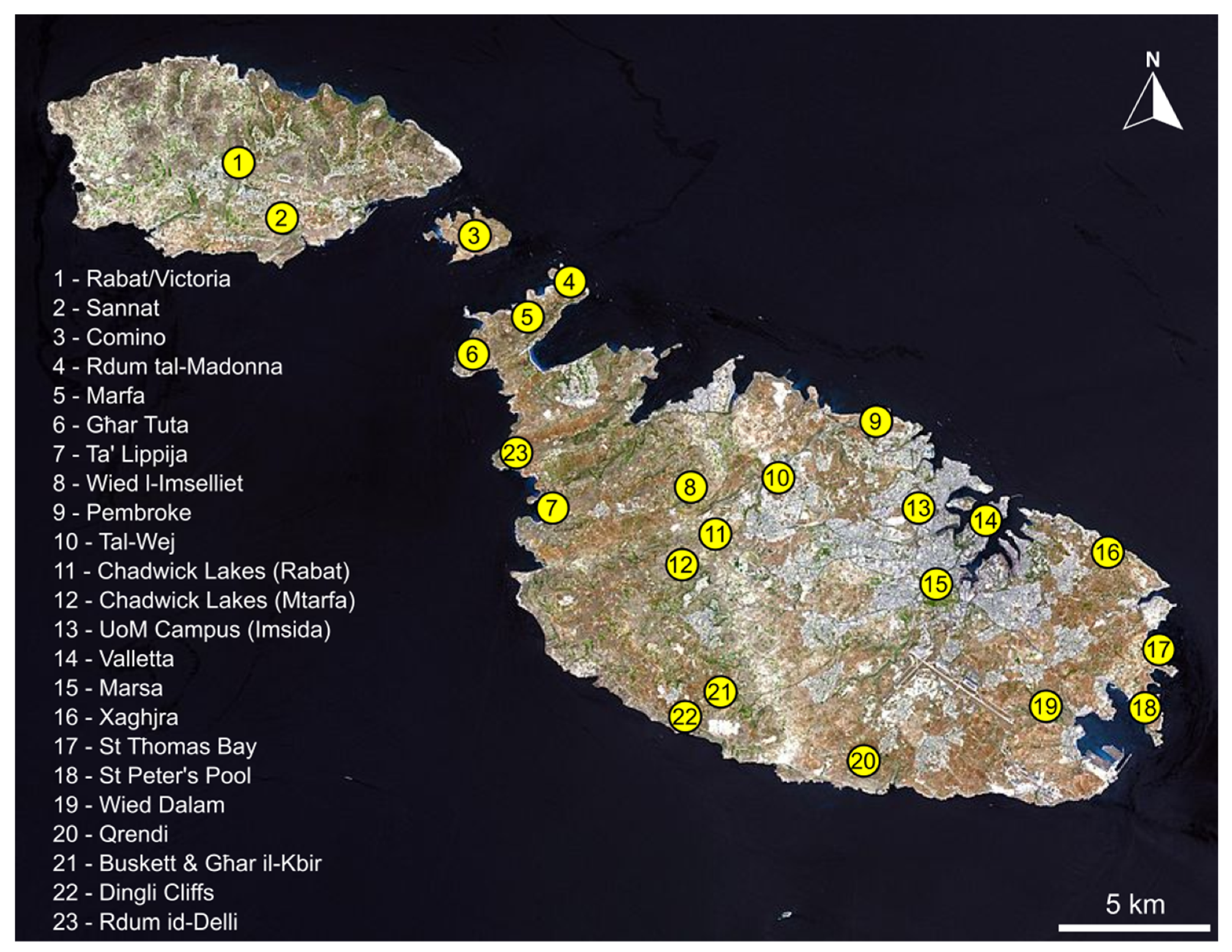 Blowjob Emma Watson - Insects | Free Full-Text | The Intranidal Myrmecophiles of the Maltese  Islands with Notes on Messor Nests as Repositories of Biodiversity