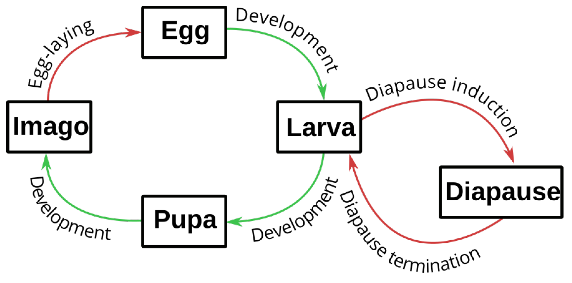 Insects 14 00051 g002 Insects 14 00051 g002