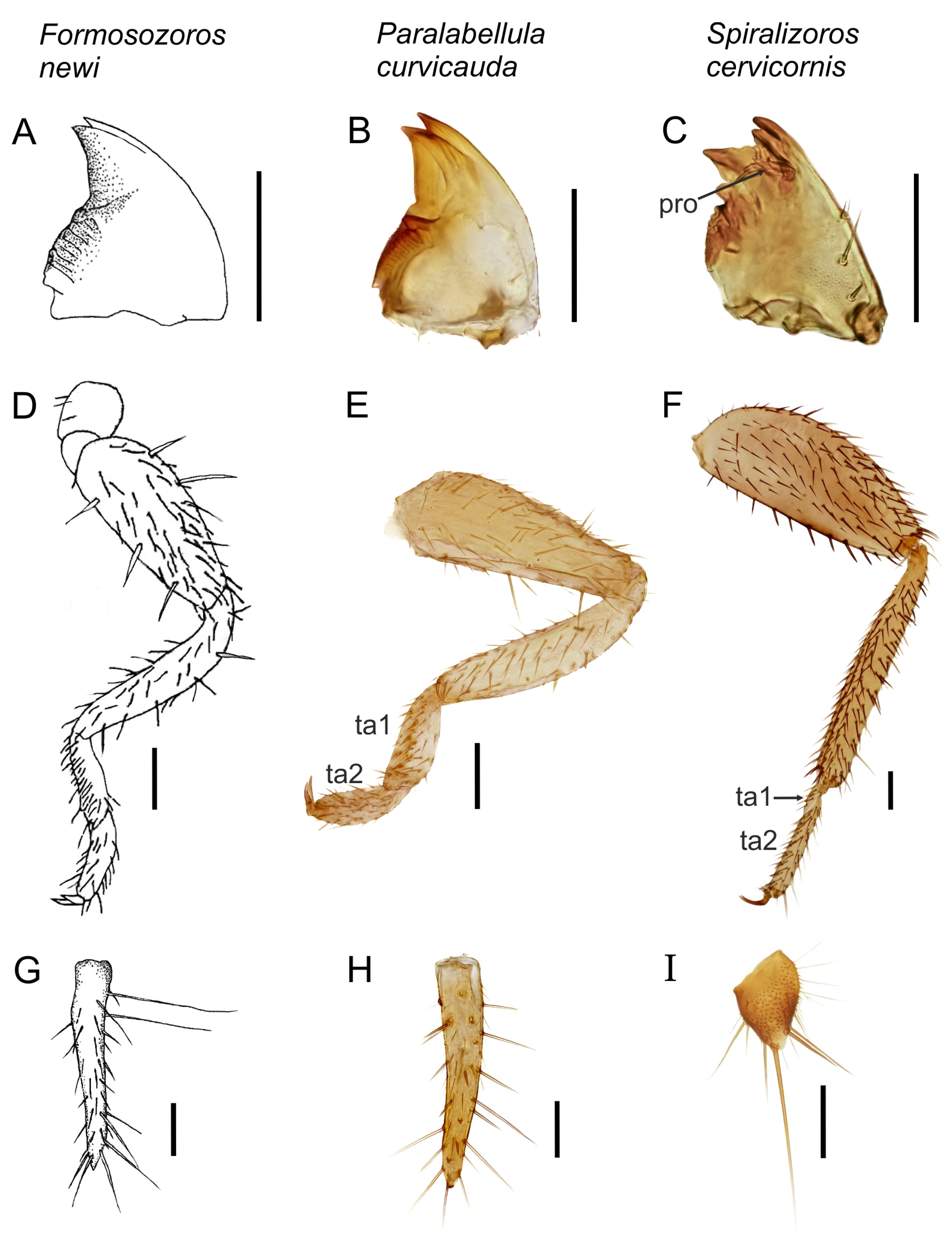 Insects 14 00053 g002 Insects 14 00053 g002
