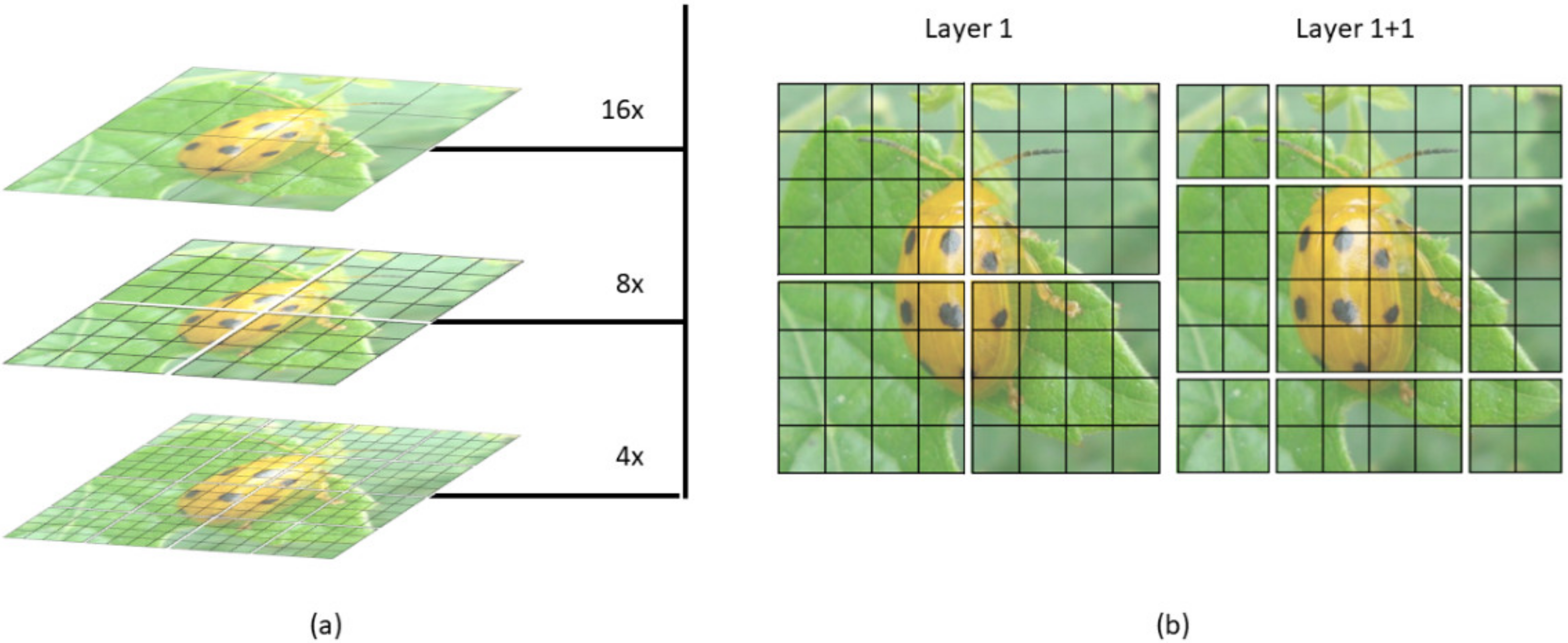 Insects 14 00054 g006 Insects 14 00054 g006