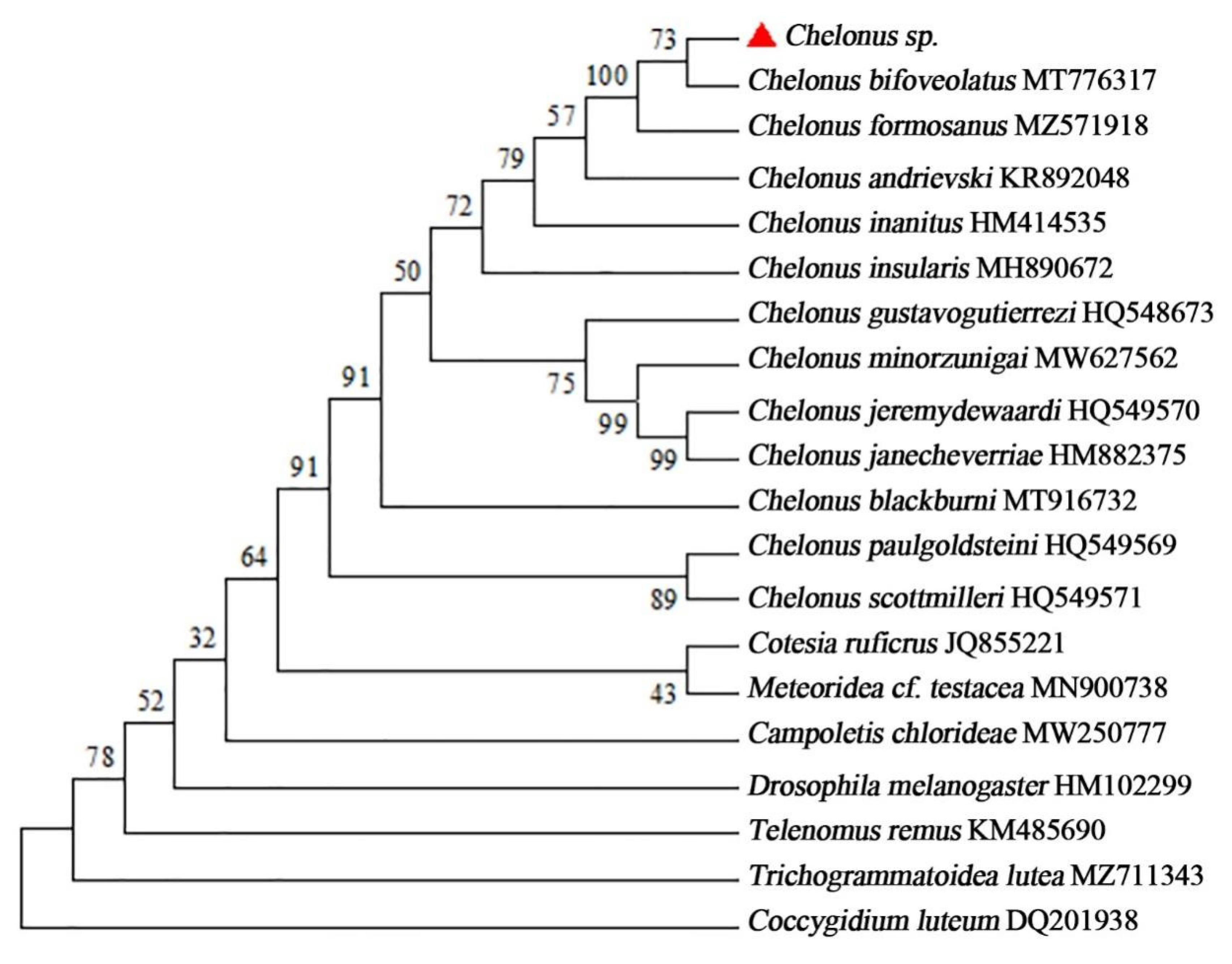 Insects 14 00061 g003 Insects 14 00061 g003