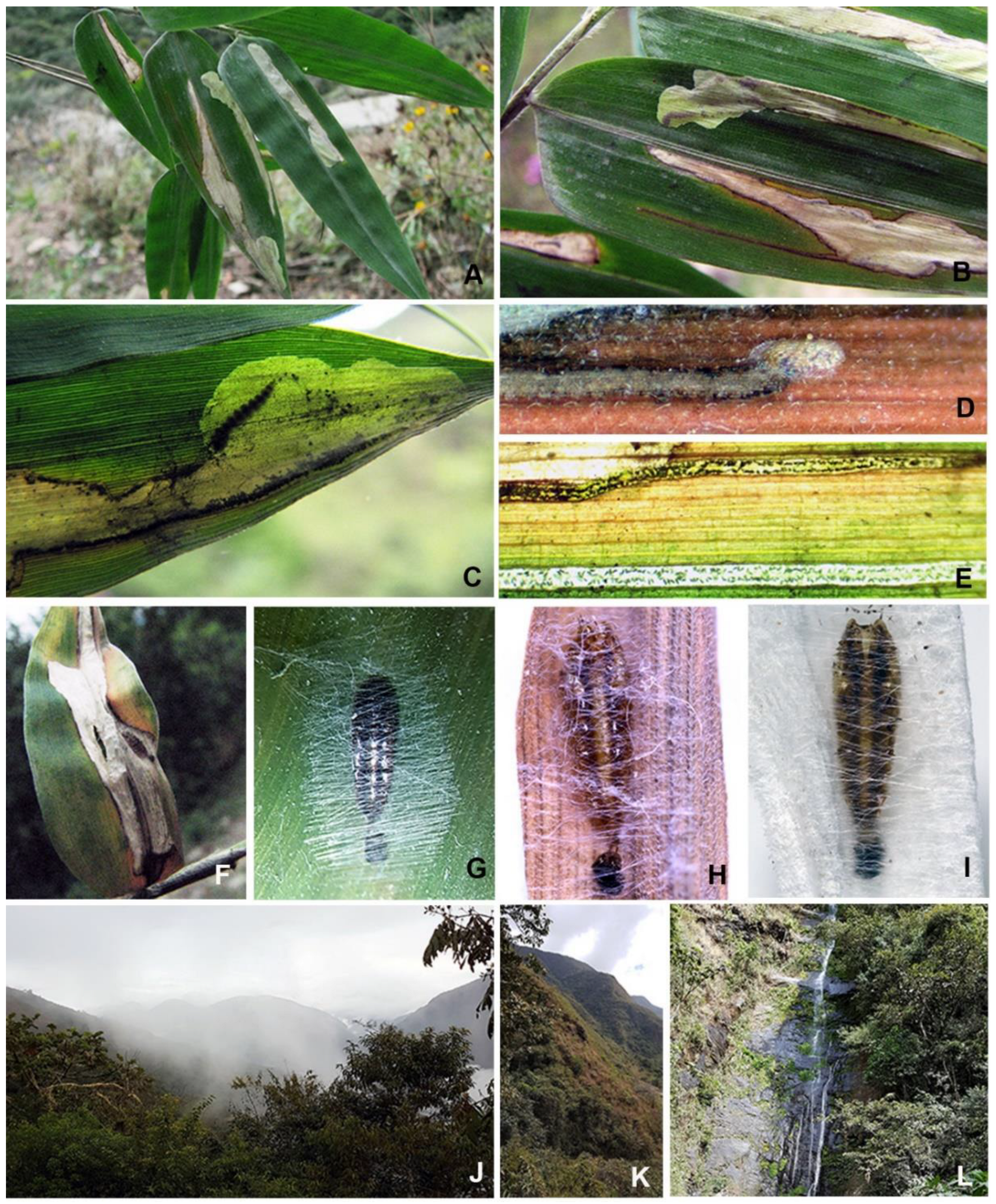 Insects 14 00062 g002