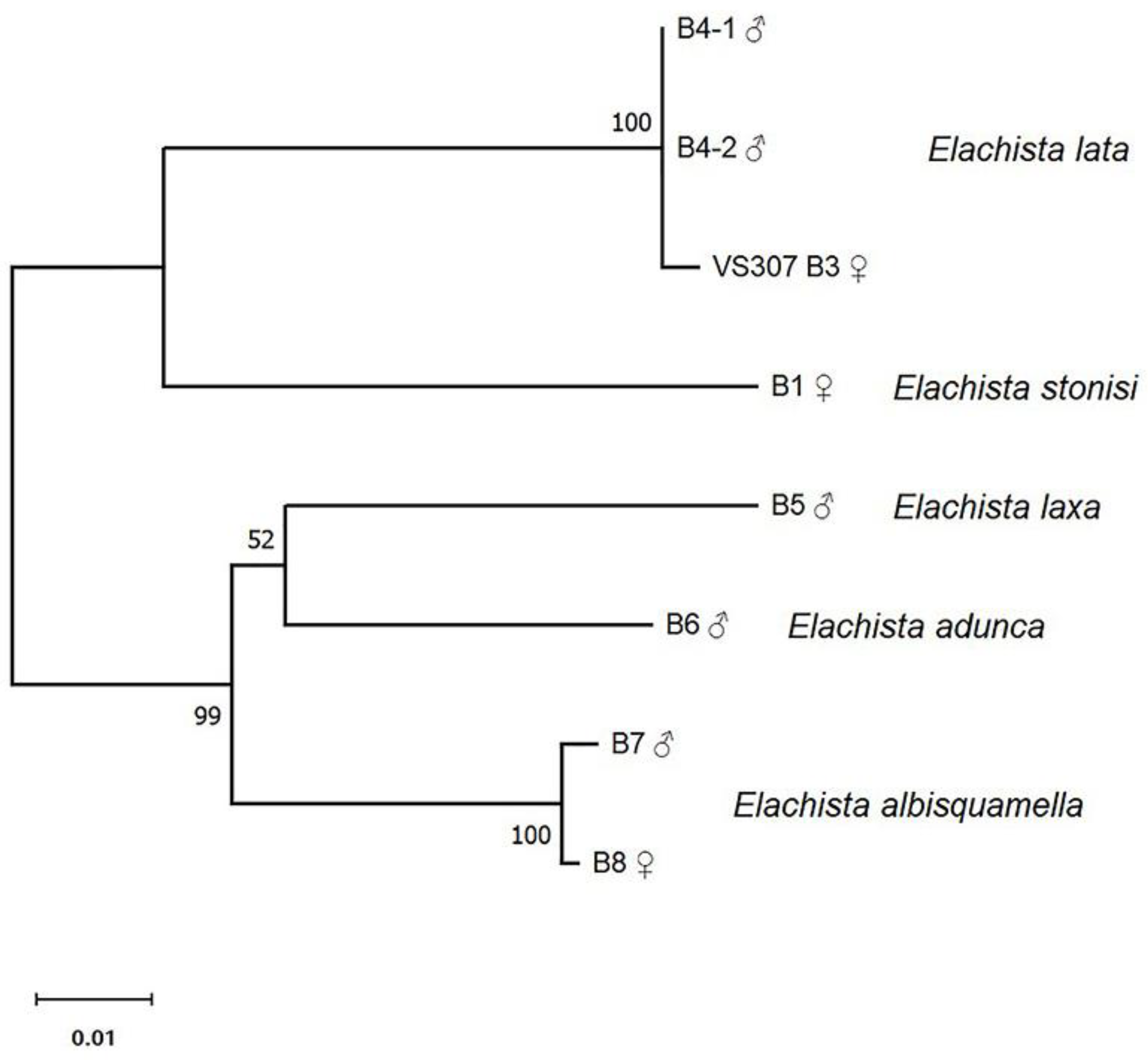 Insects 14 00062 g005