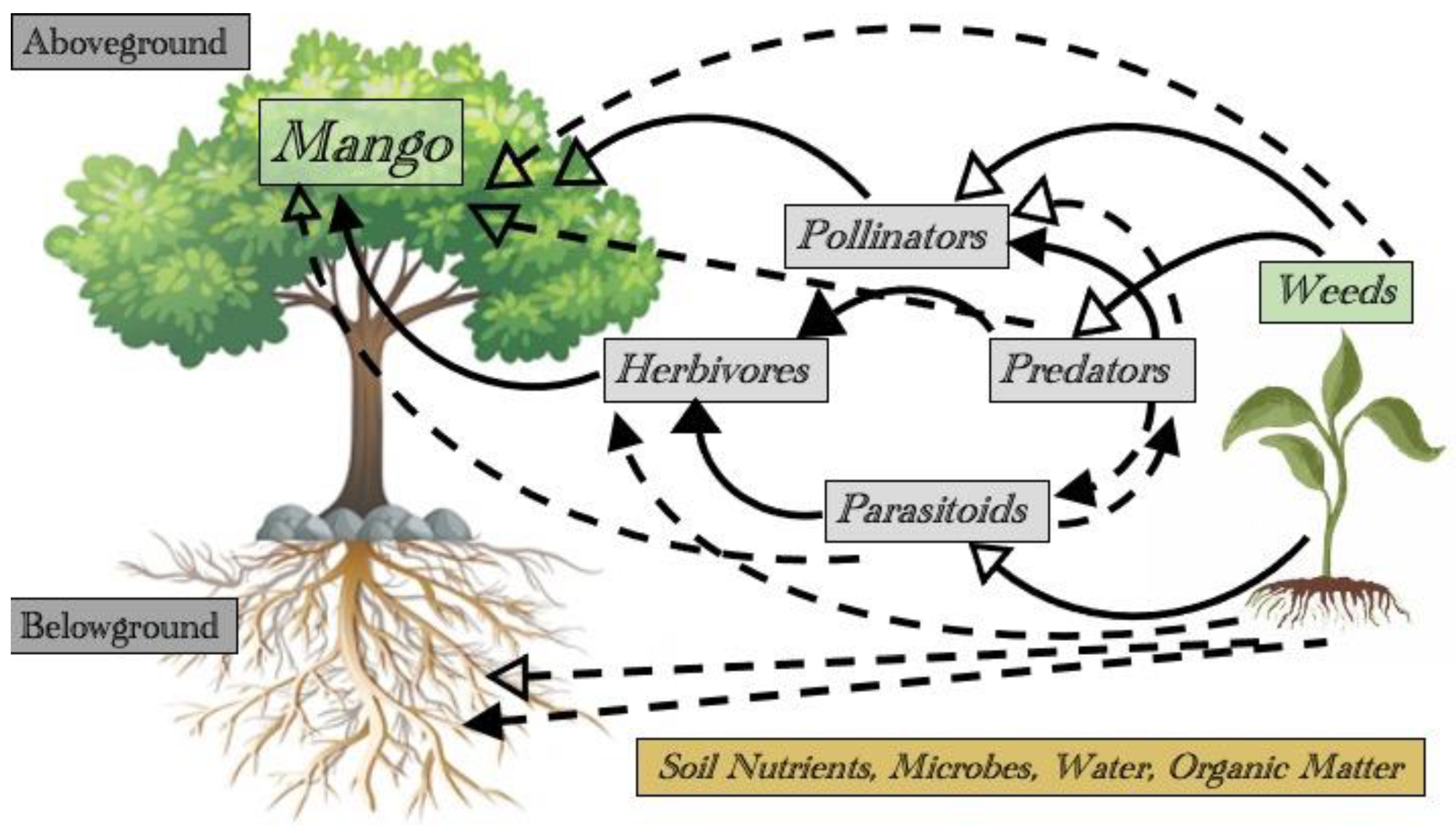 Insects 14 00065 g001 Insects 14 00065 g001
