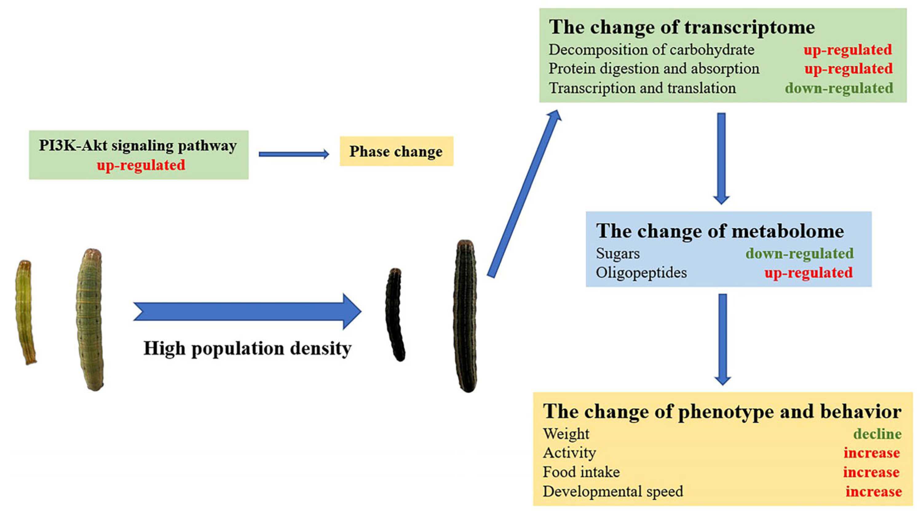 Insects 14 00068 g010 Insects 14 00068 g010