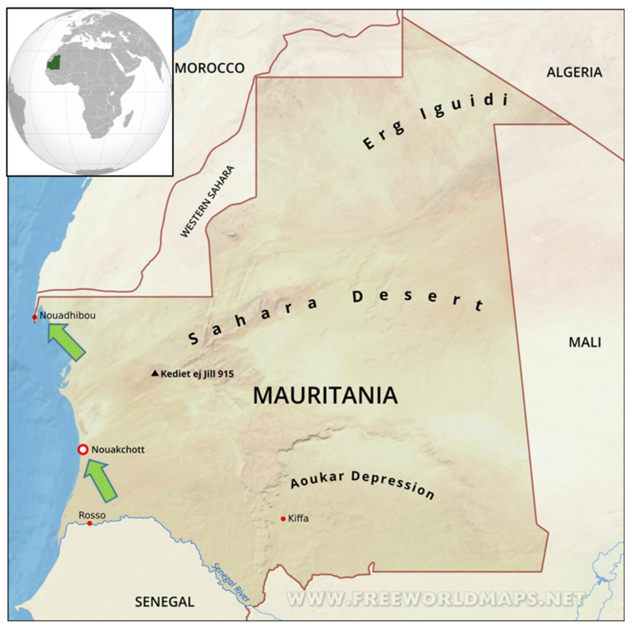 Insects 14 00069 g001 Insects 14 00069 g001