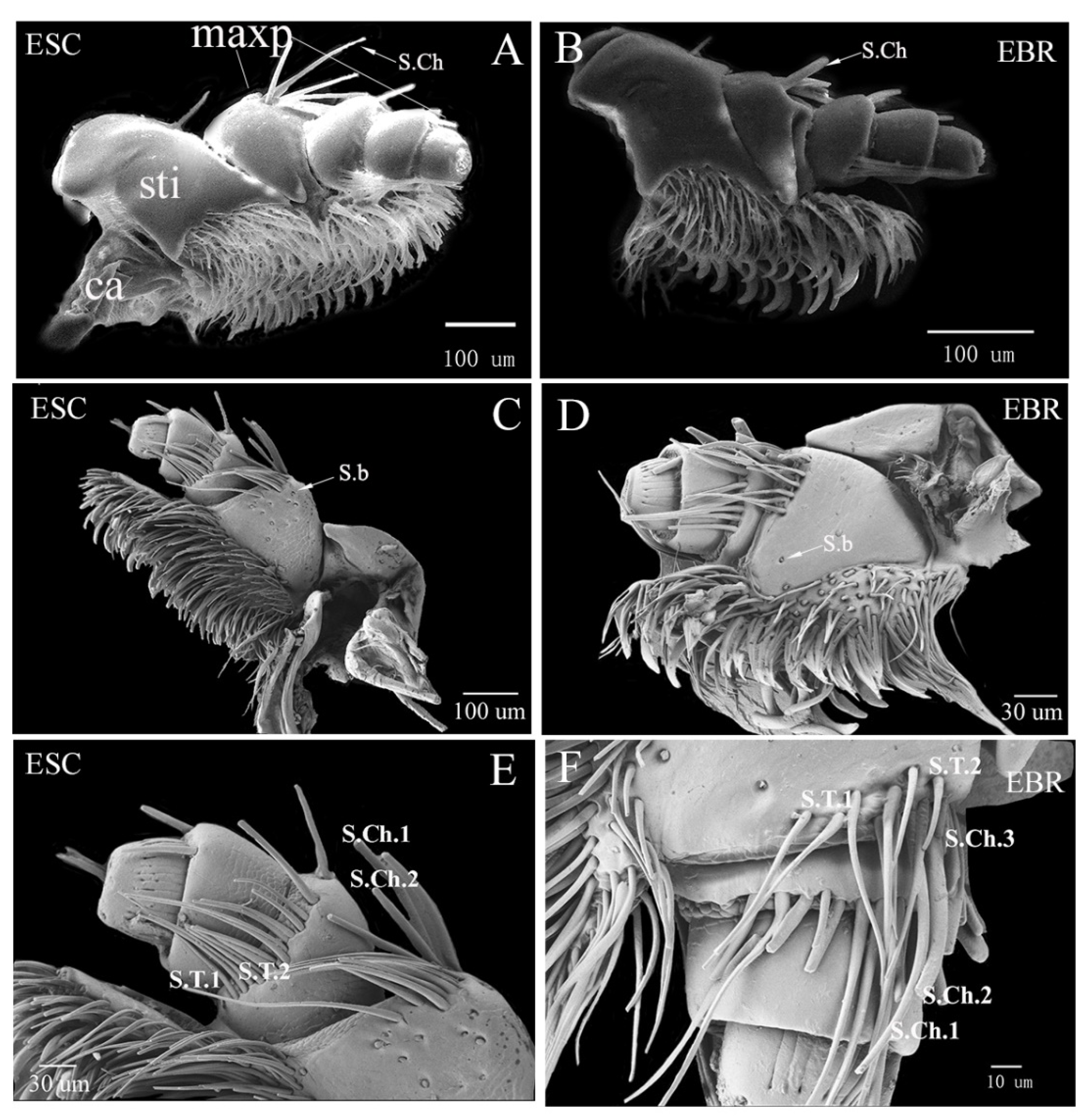 Insects 14 00071 g002 Insects 14 00071 g002