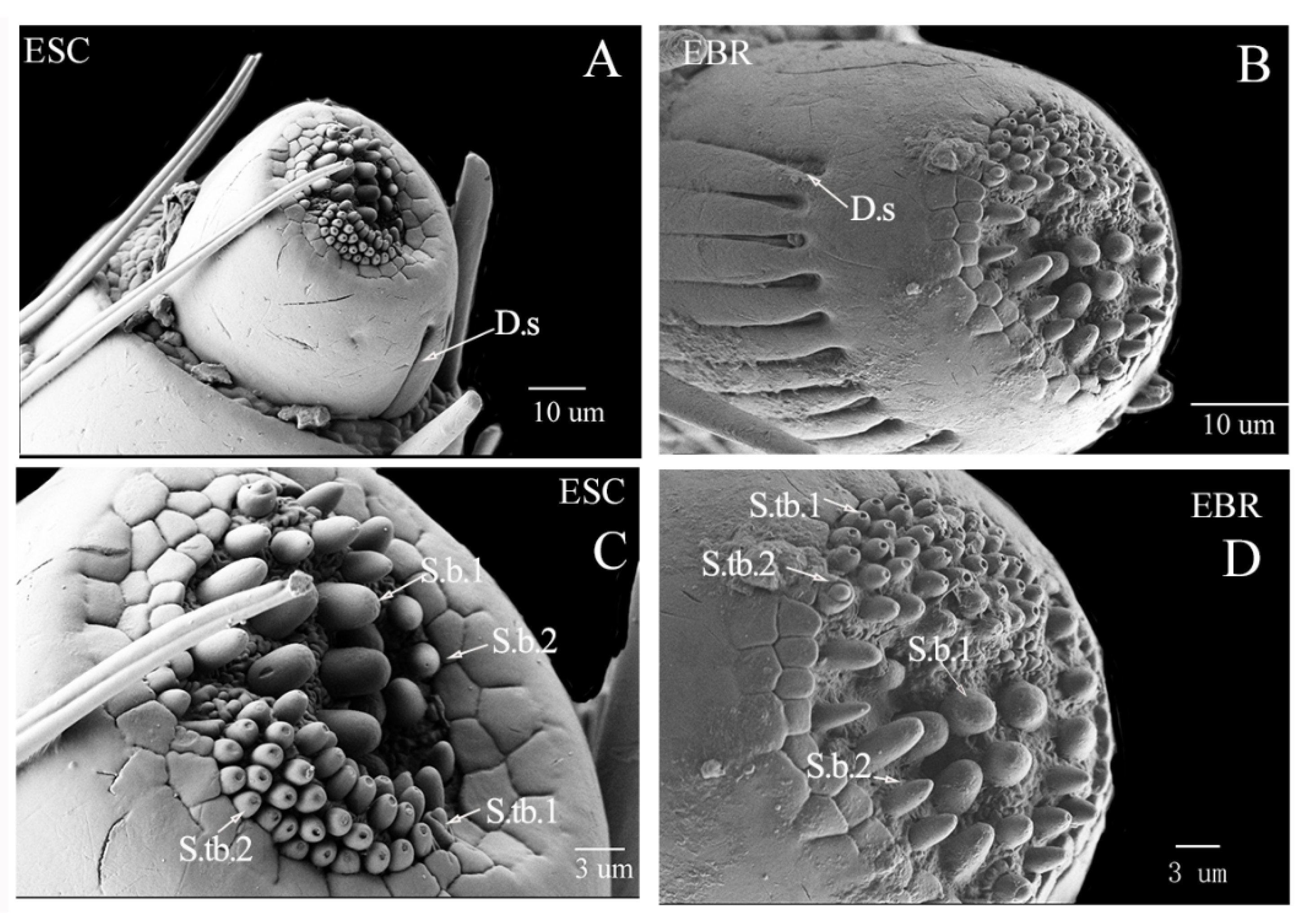 Insects 14 00071 g003 Insects 14 00071 g003