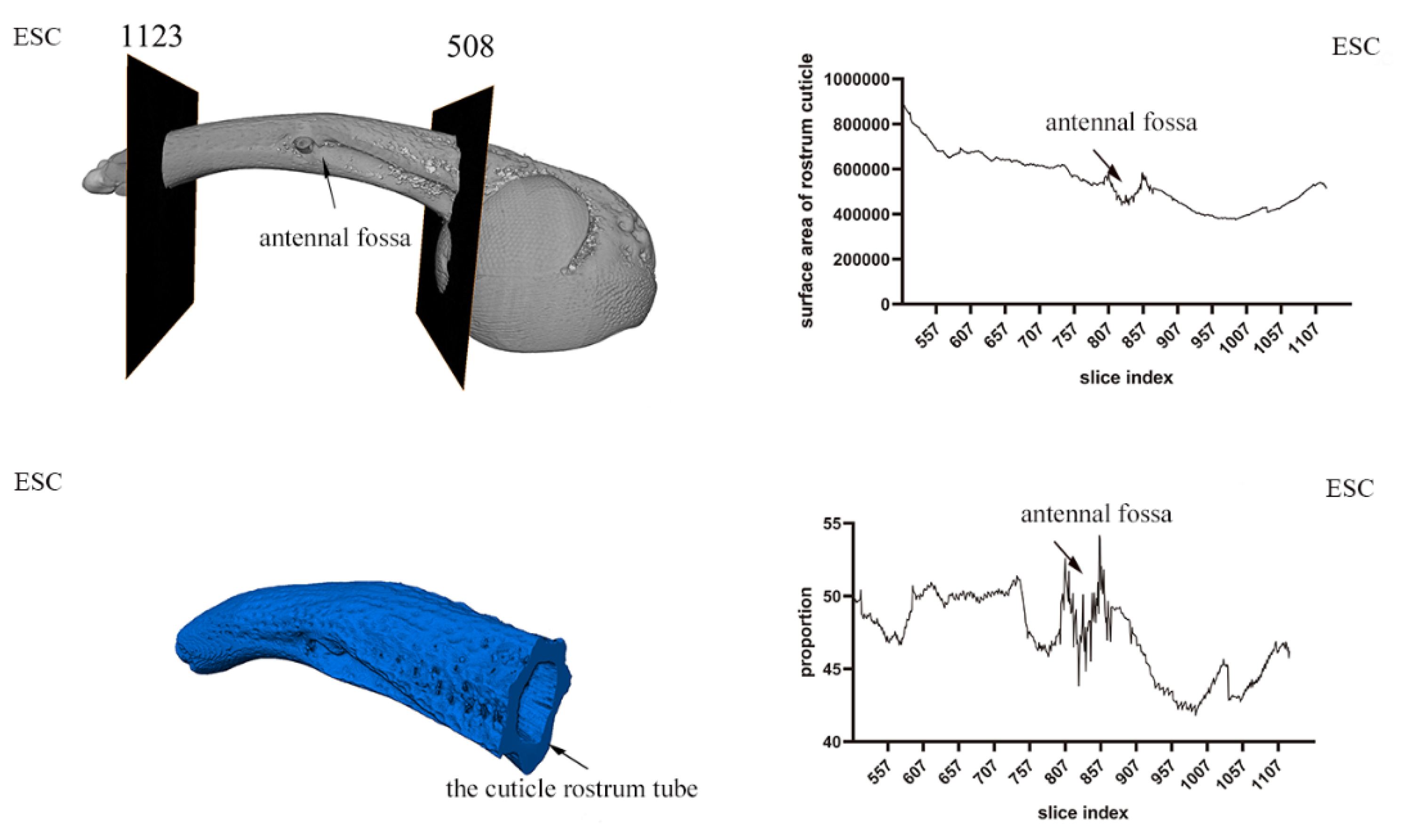 Insects 14 00071 g005 Insects 14 00071 g005