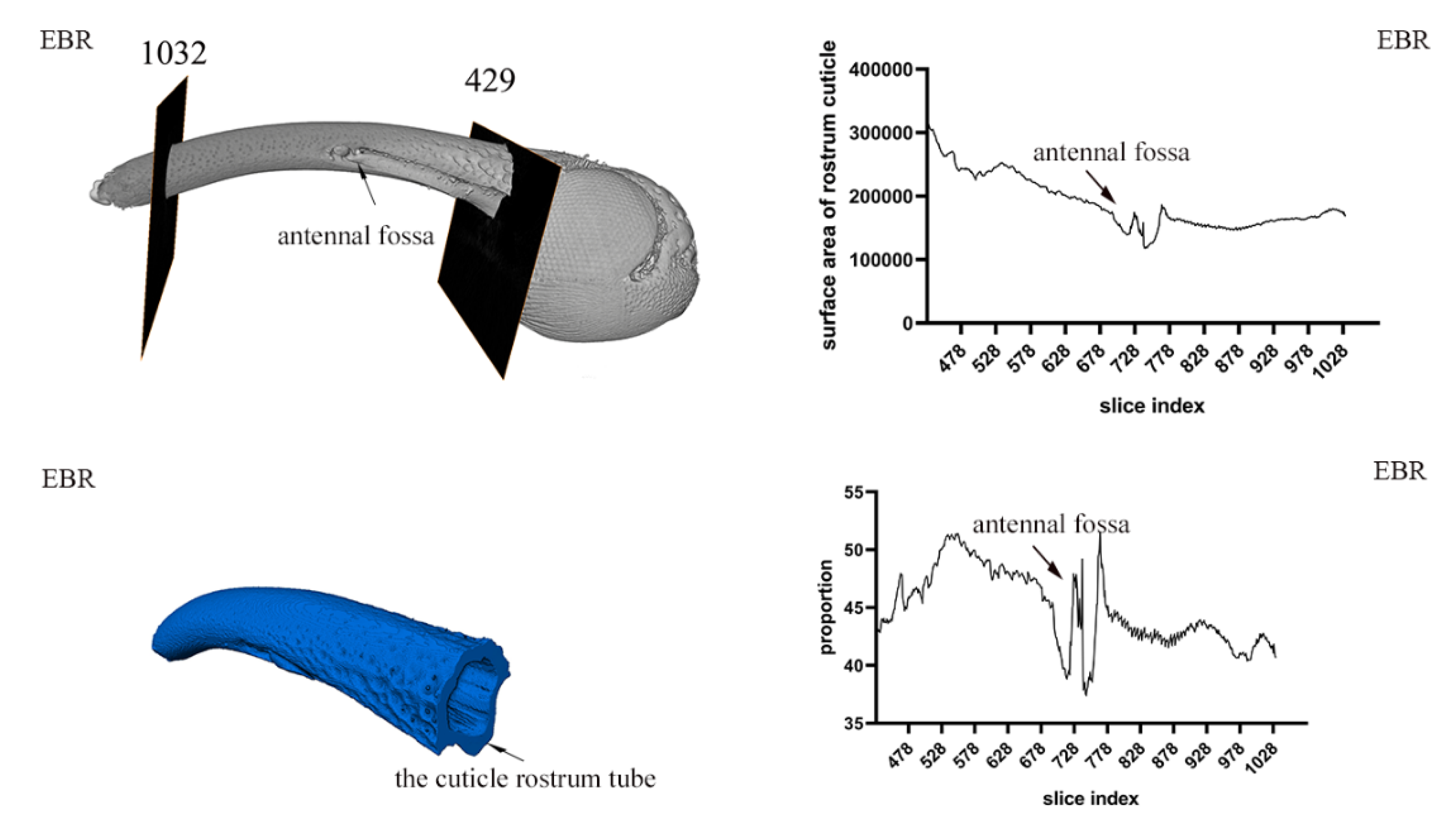 Insects 14 00071 g006 Insects 14 00071 g006