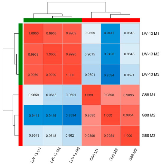 ターゲットアース Ground Grabba Commercial Grade 36