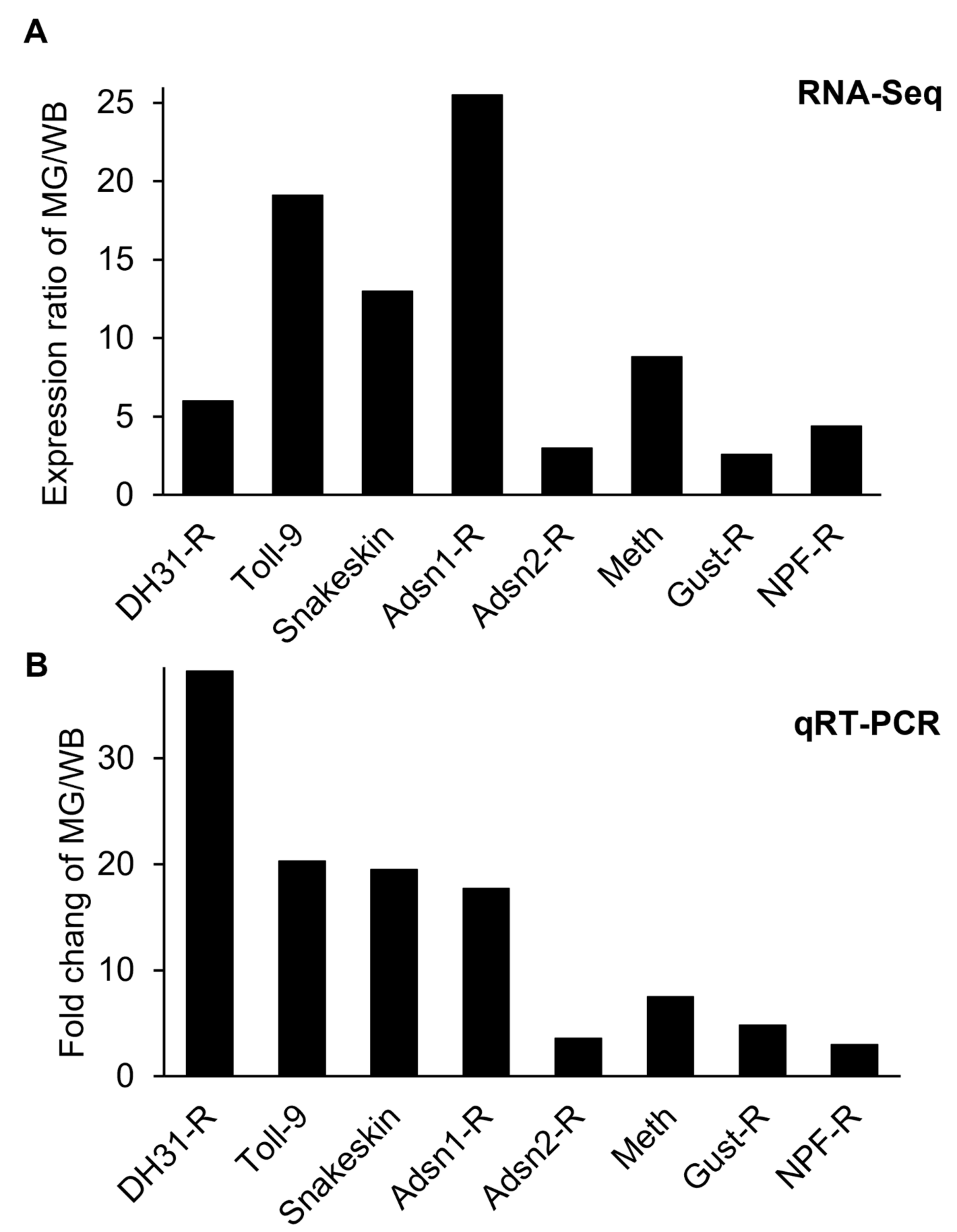 Insects 14 00076 g004 Insects 14 00076 g004