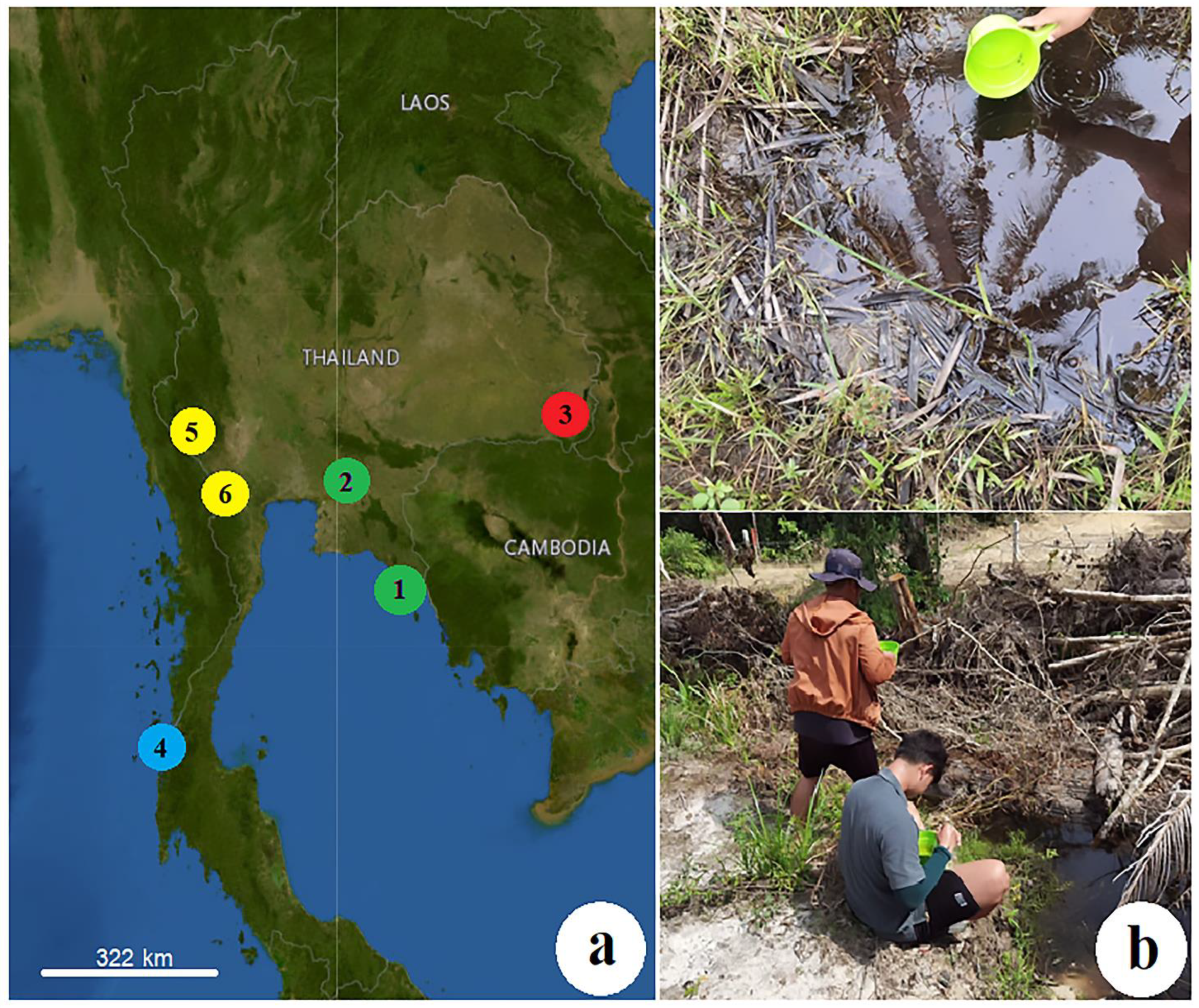 Insects 14 00078 g001 Insects 14 00078 g001