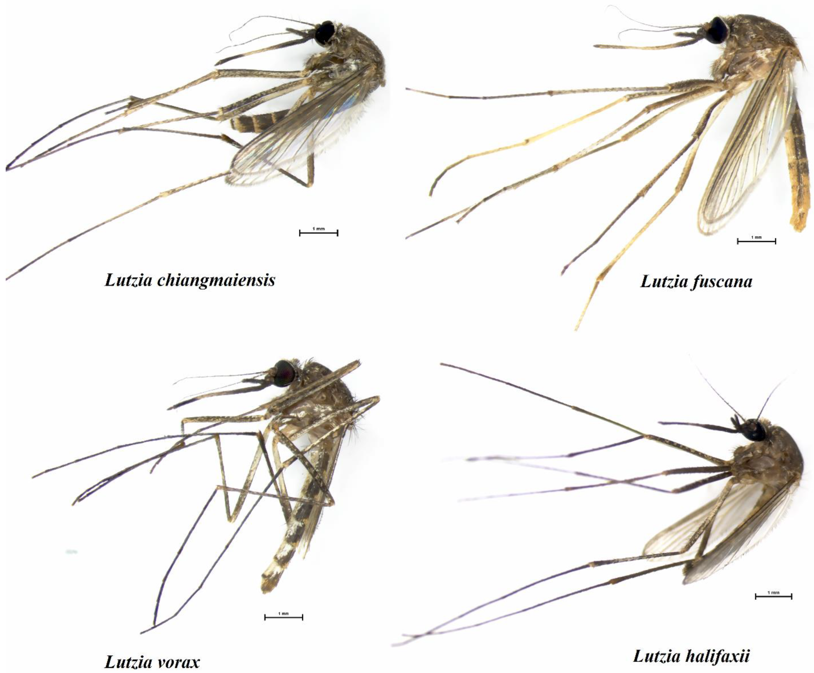 Insects 14 00078 g002 Insects 14 00078 g002