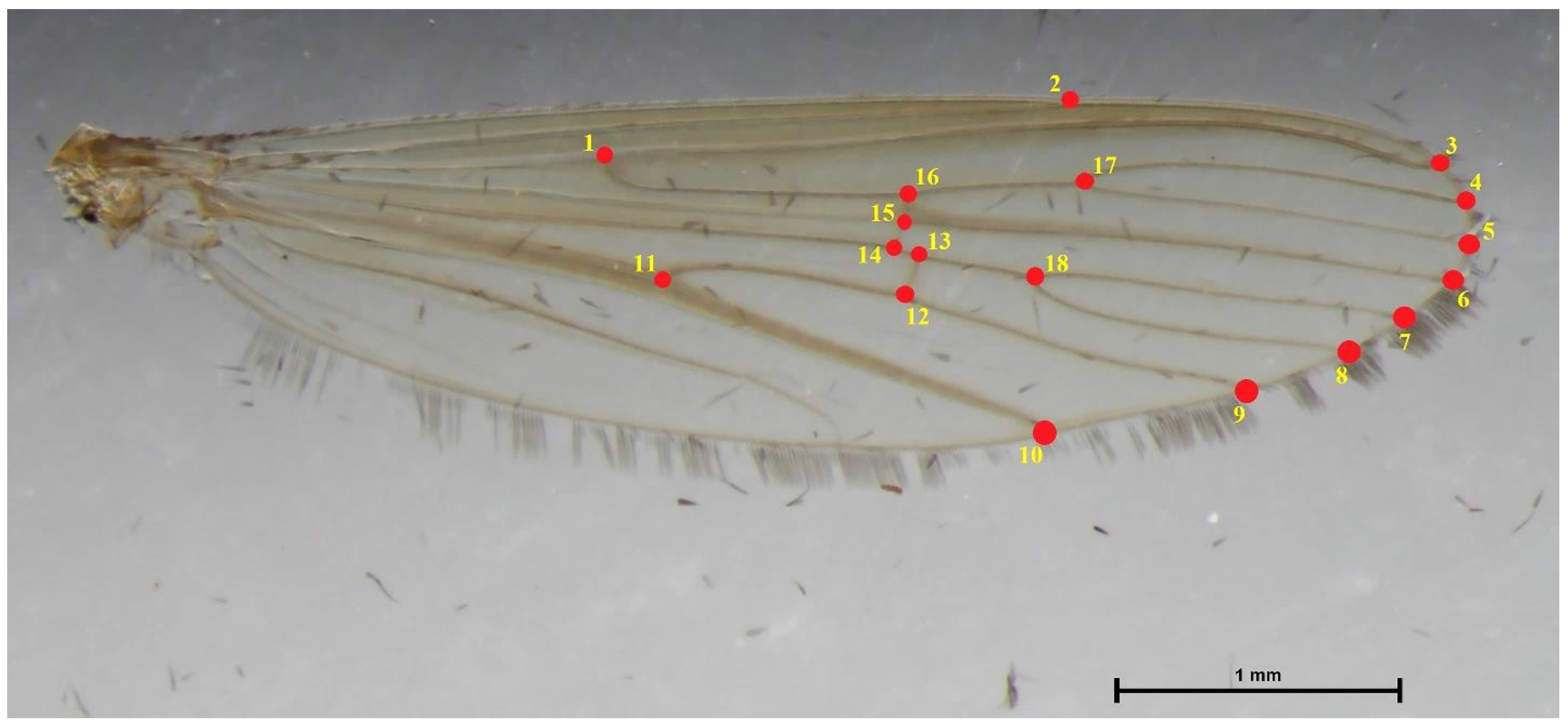Insects 14 00078 g003 Insects 14 00078 g003