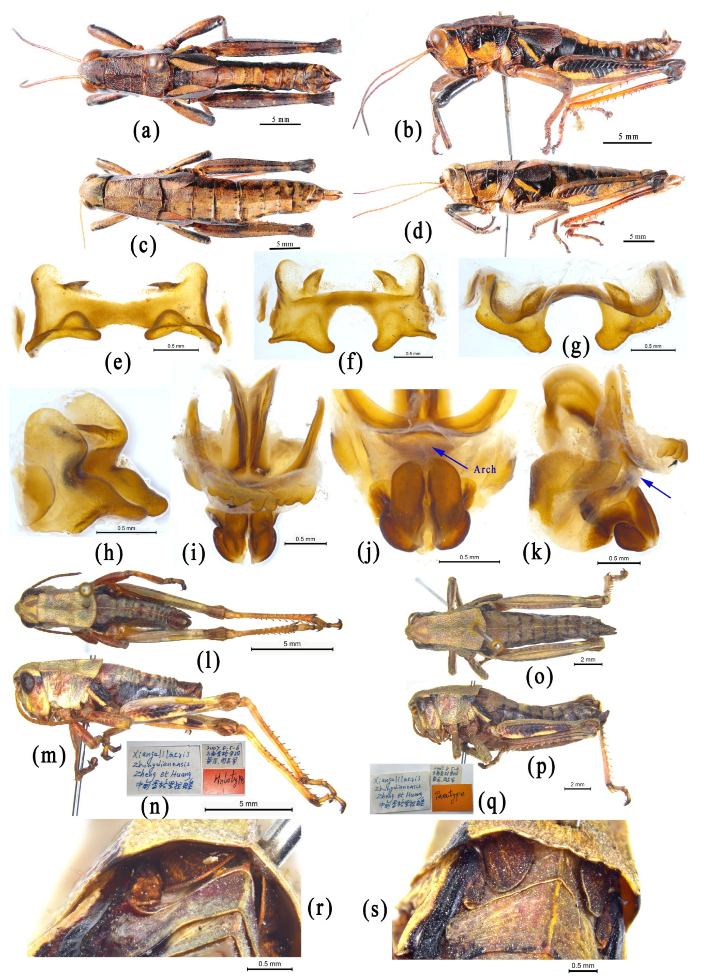 Insects 14 00085 g007 Insects 14 00085 g007