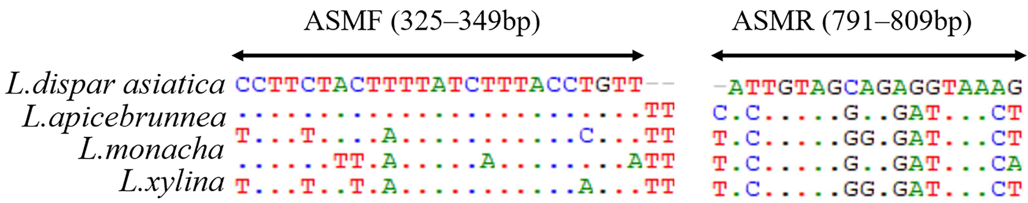 Insects 14 00094 g003 Insects 14 00094 g003