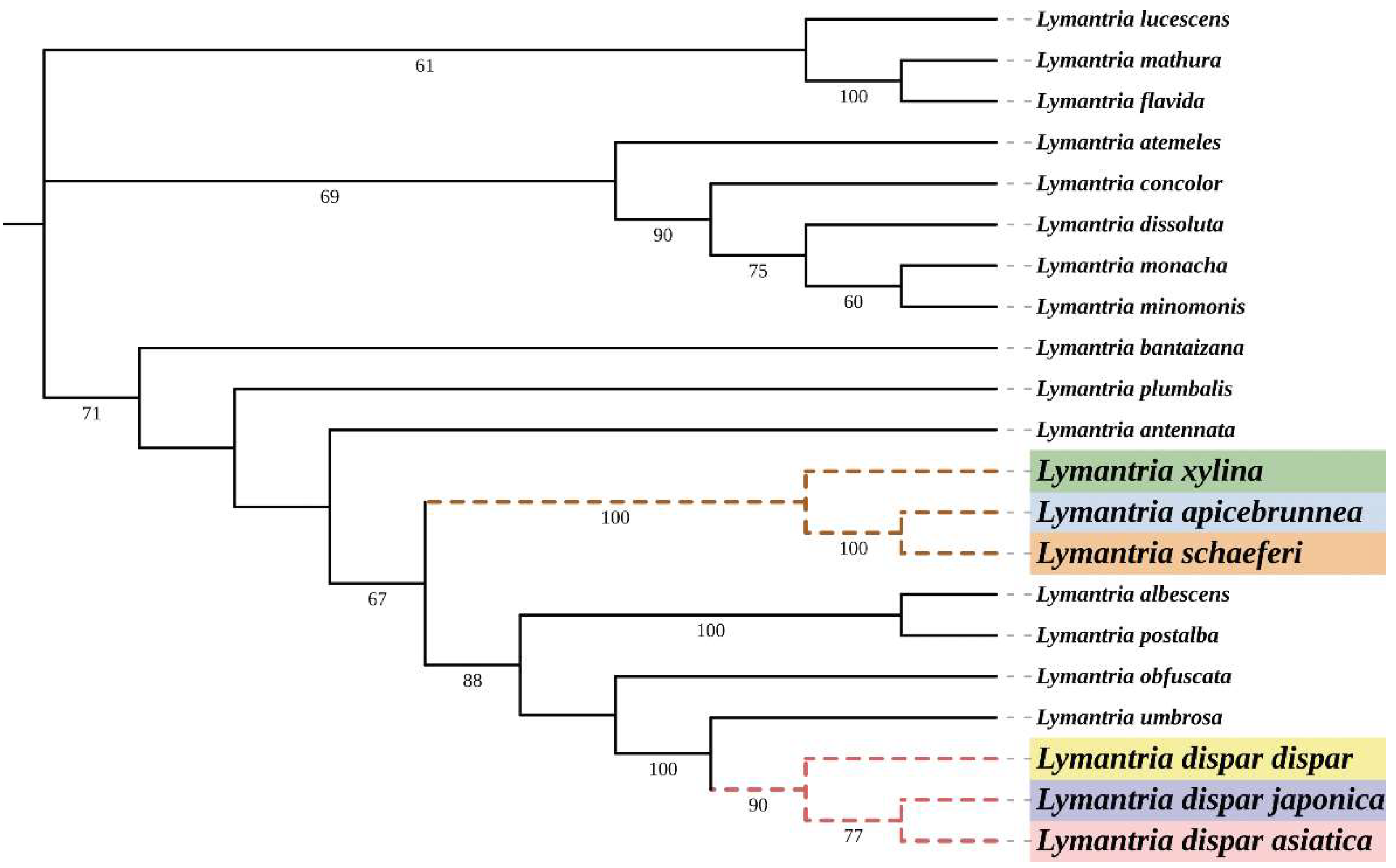 Insects 14 00094 g004 Insects 14 00094 g004