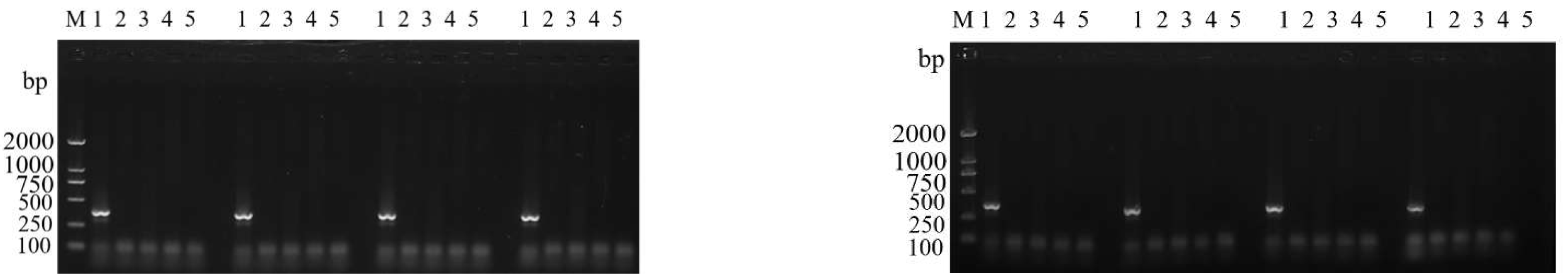 Insects 14 00094 g007 Insects 14 00094 g007