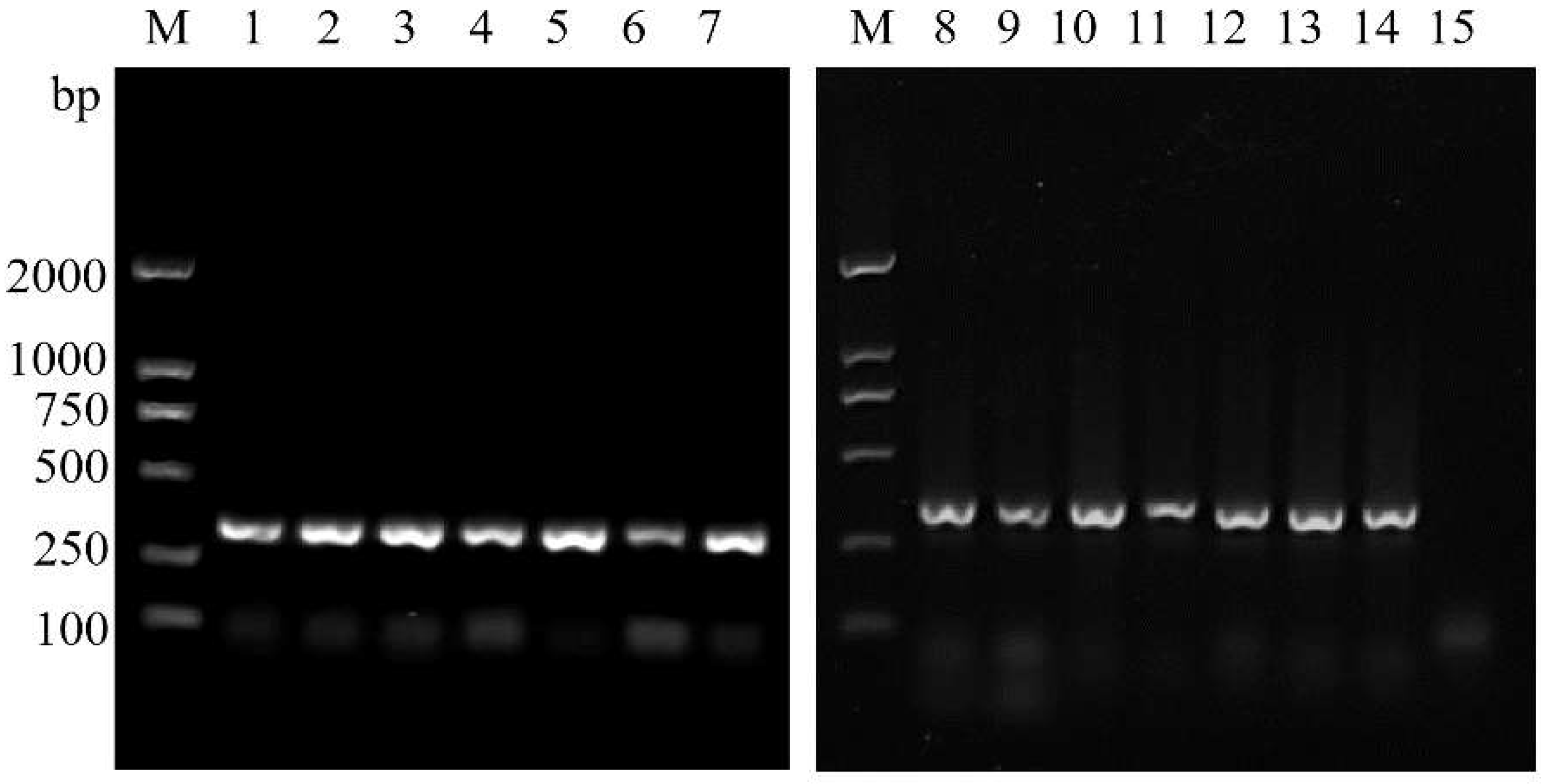Insects 14 00094 g008 Insects 14 00094 g008