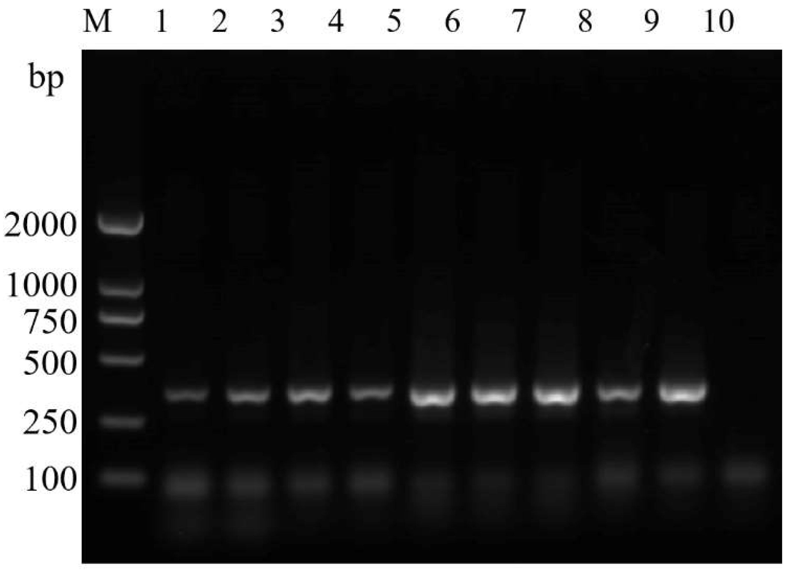Insects 14 00094 g009 Insects 14 00094 g009