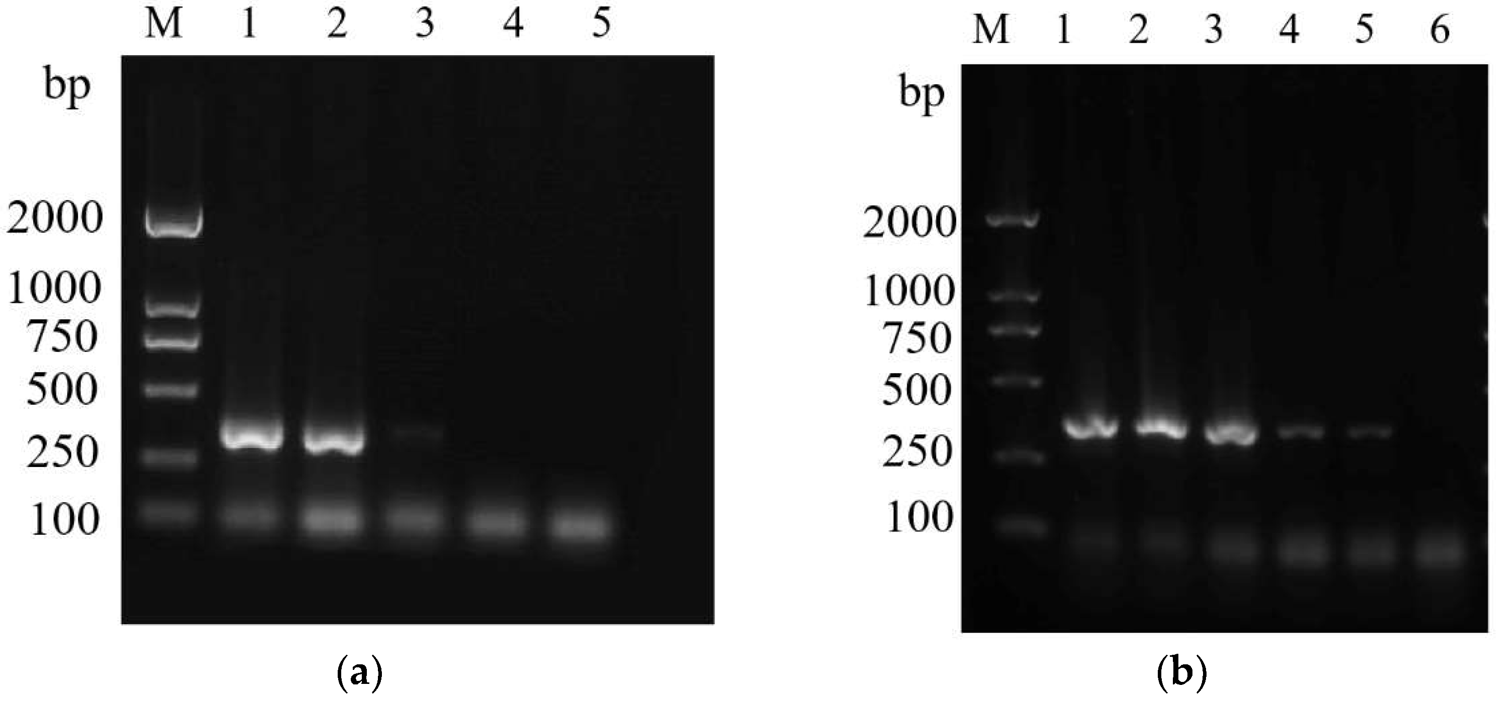 Insects 14 00094 g010 Insects 14 00094 g010
