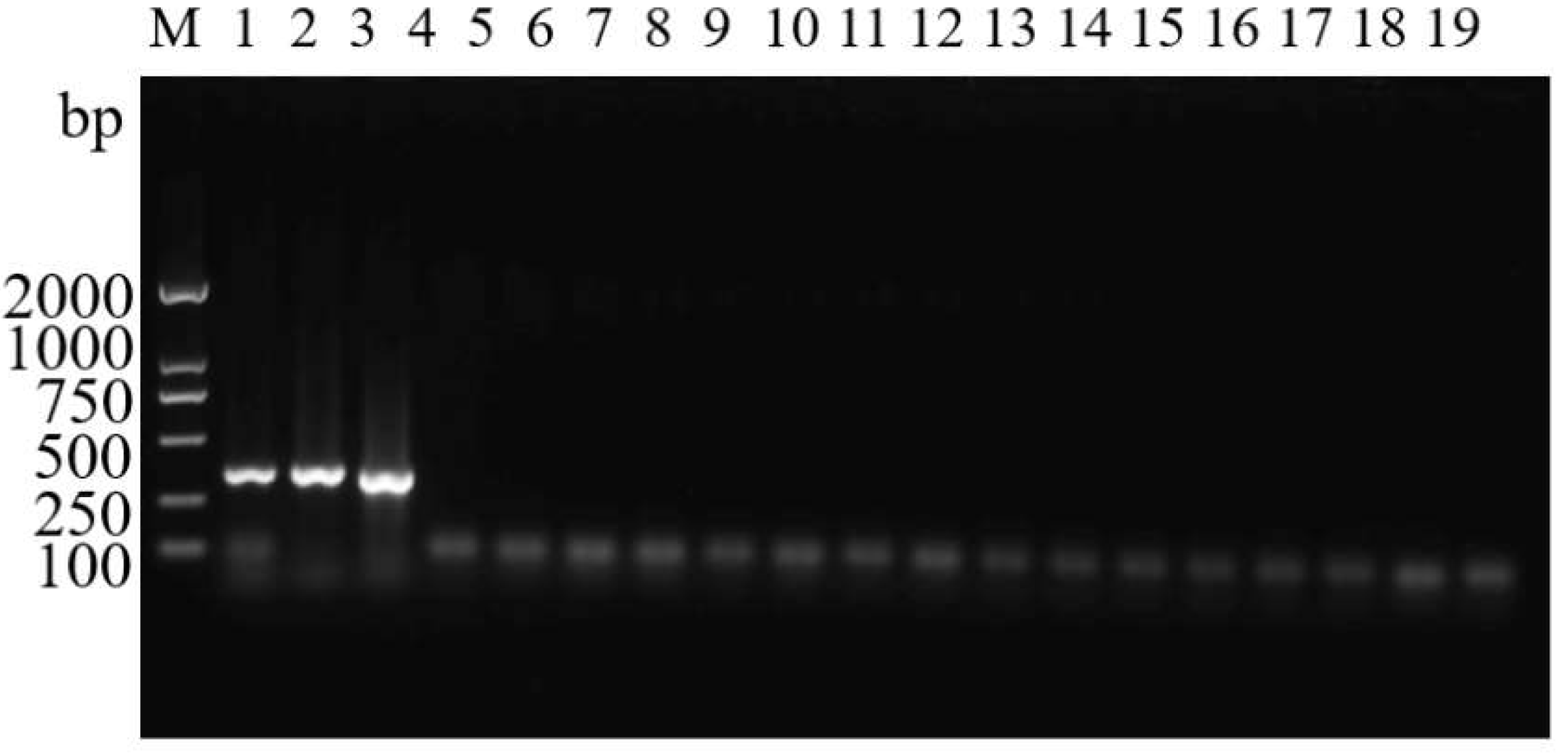 Insects 14 00094 g011 Insects 14 00094 g011