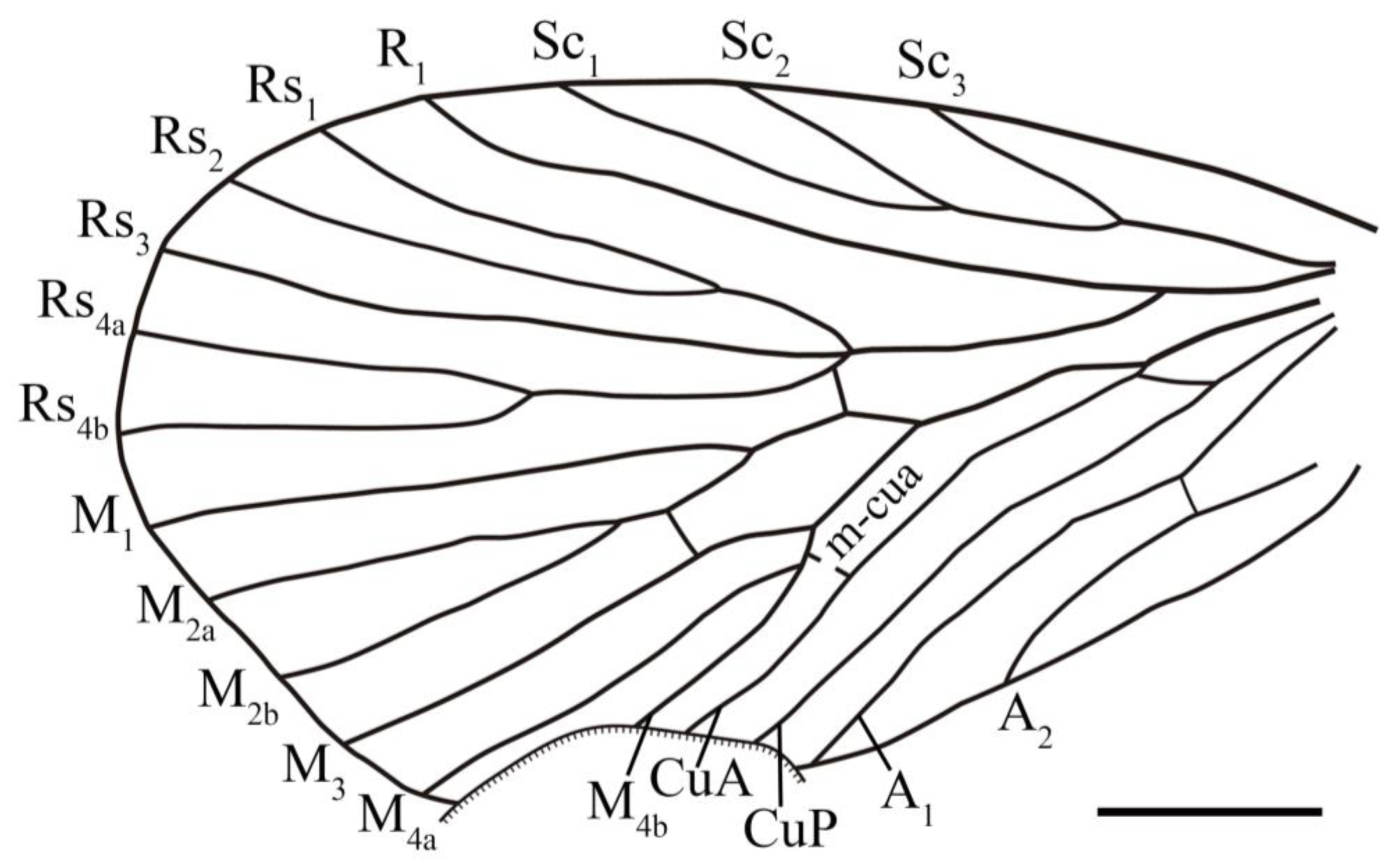 Insects 14 00096 g002