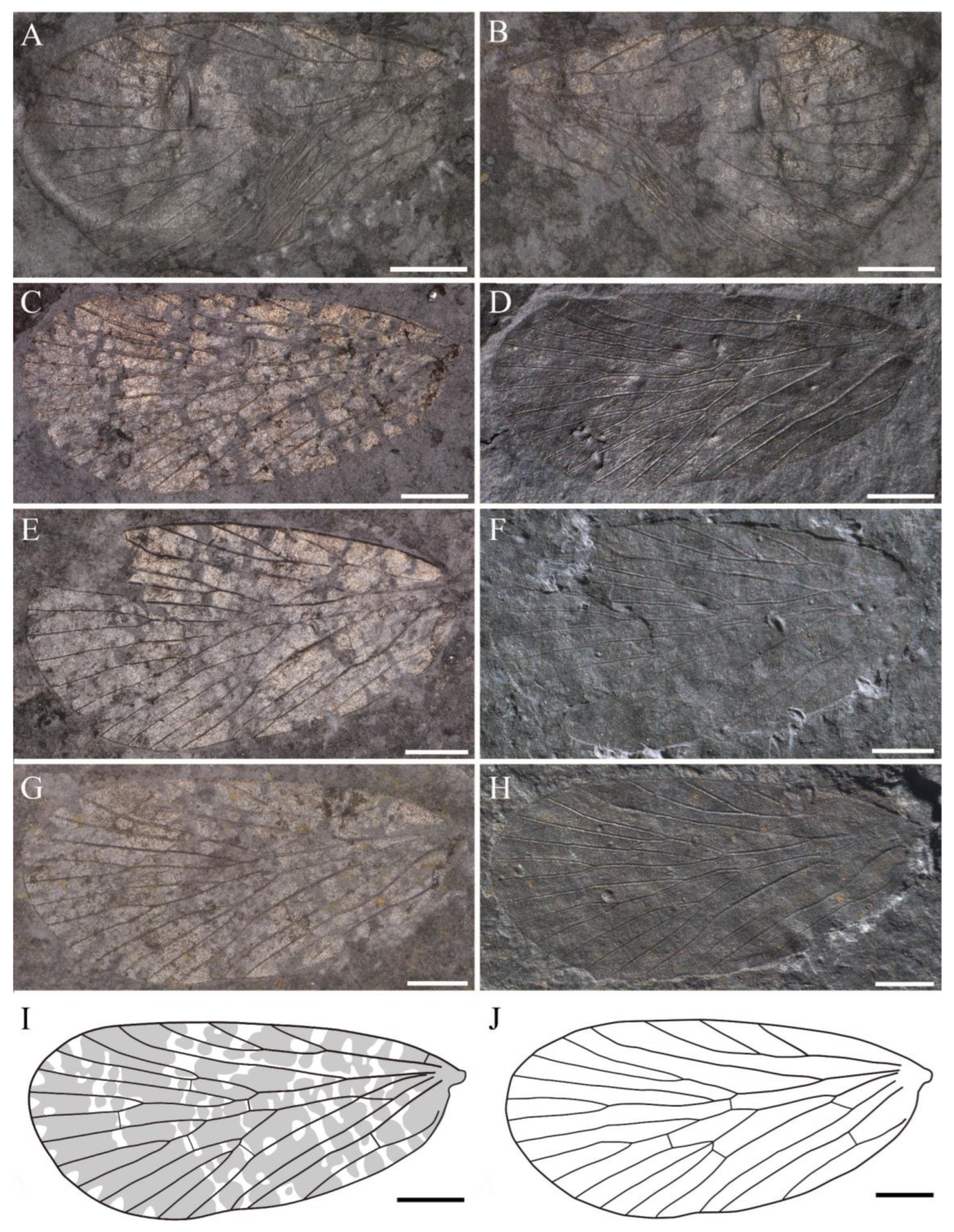 Insects 14 00096 g003