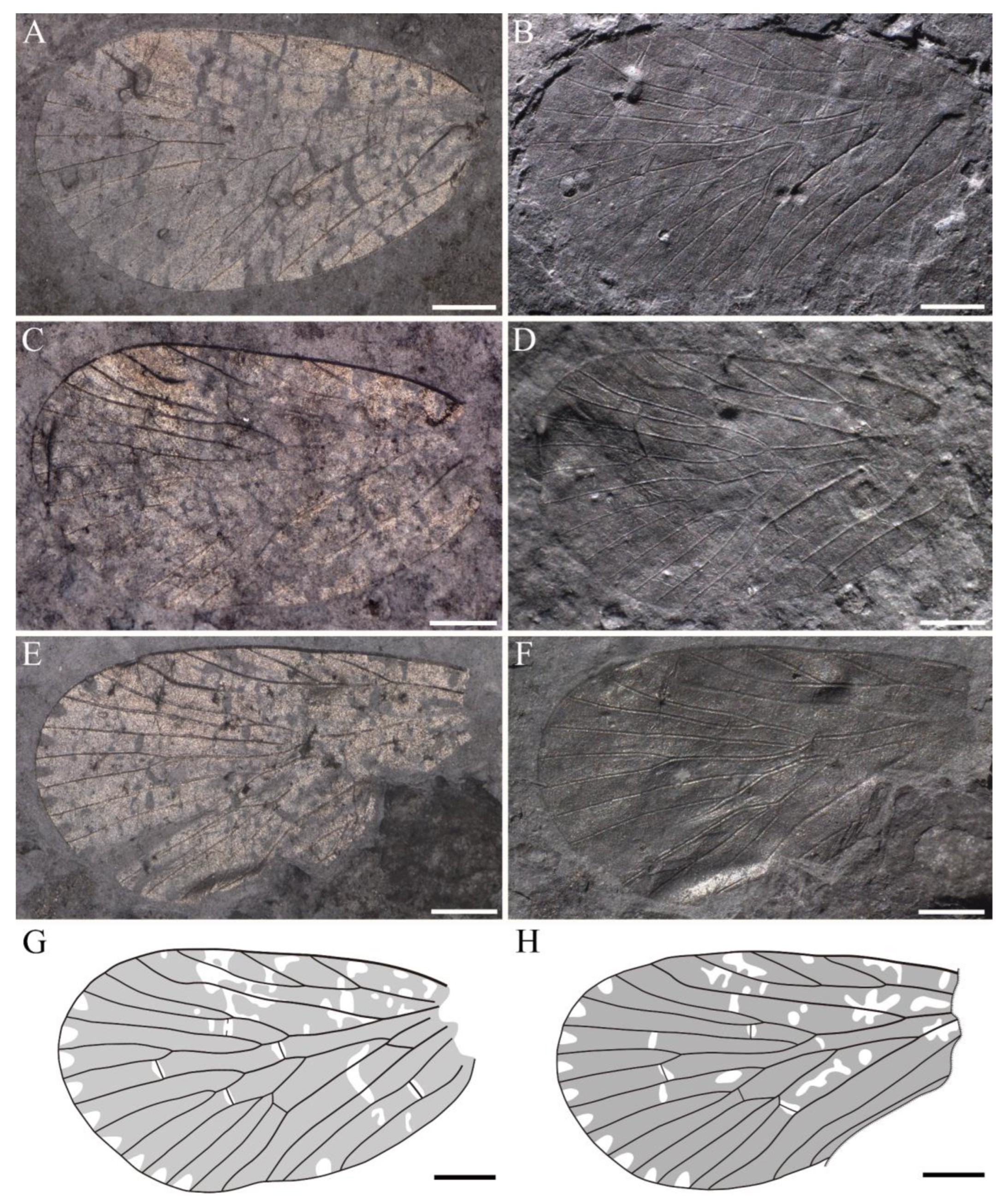 Insects 14 00096 g005