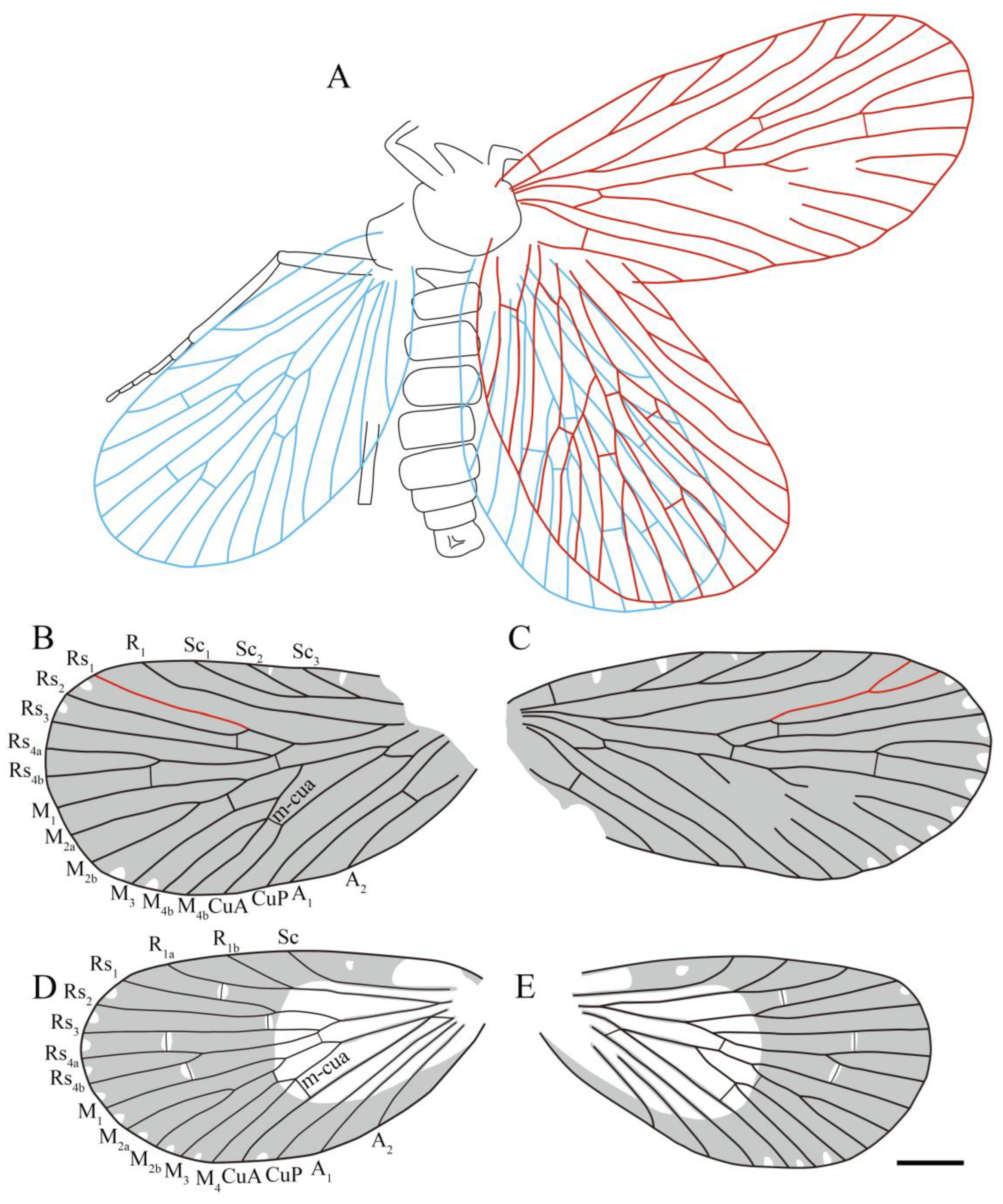 Insects 14 00096 g007