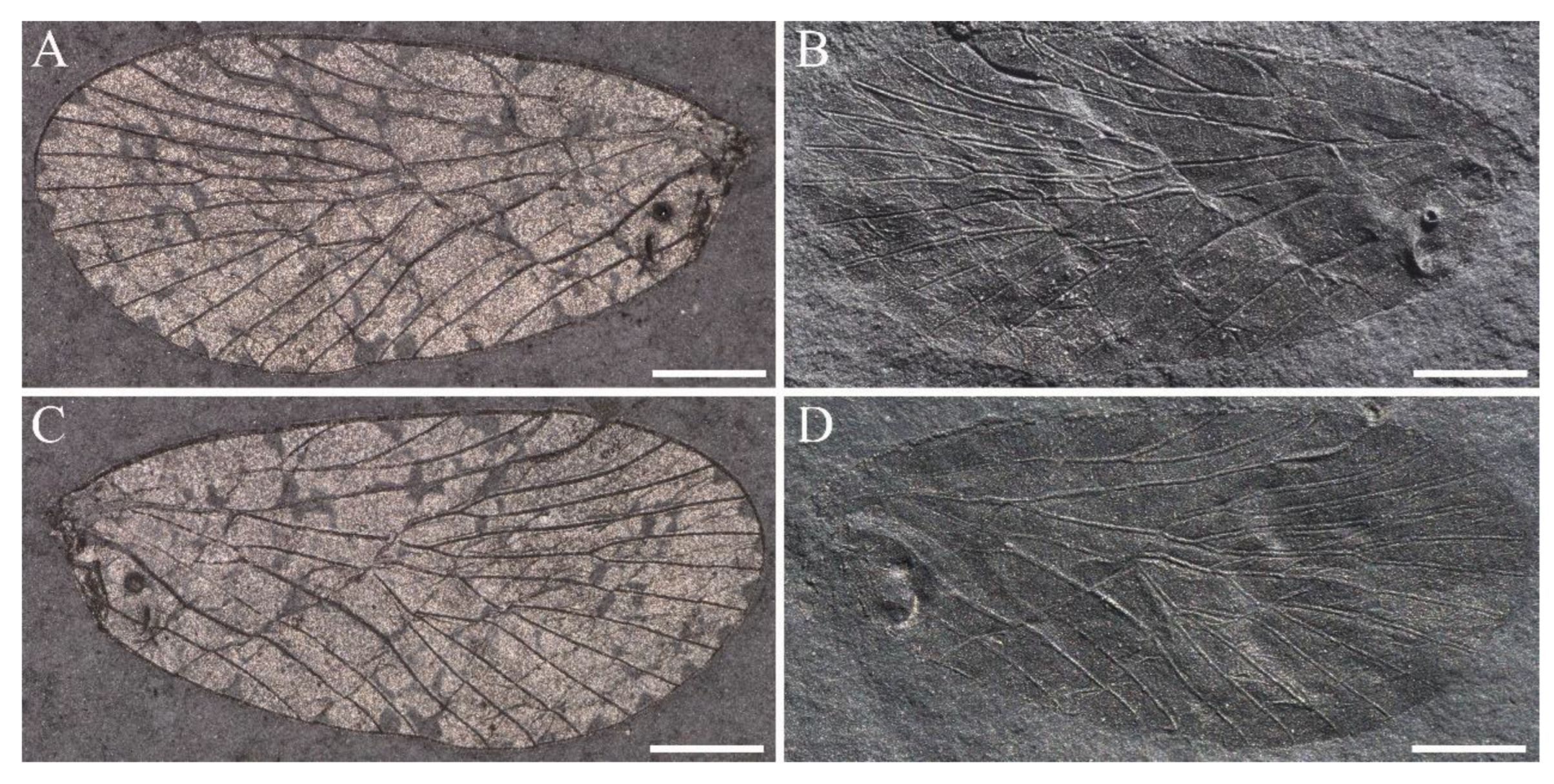 Insects 14 00096 g008