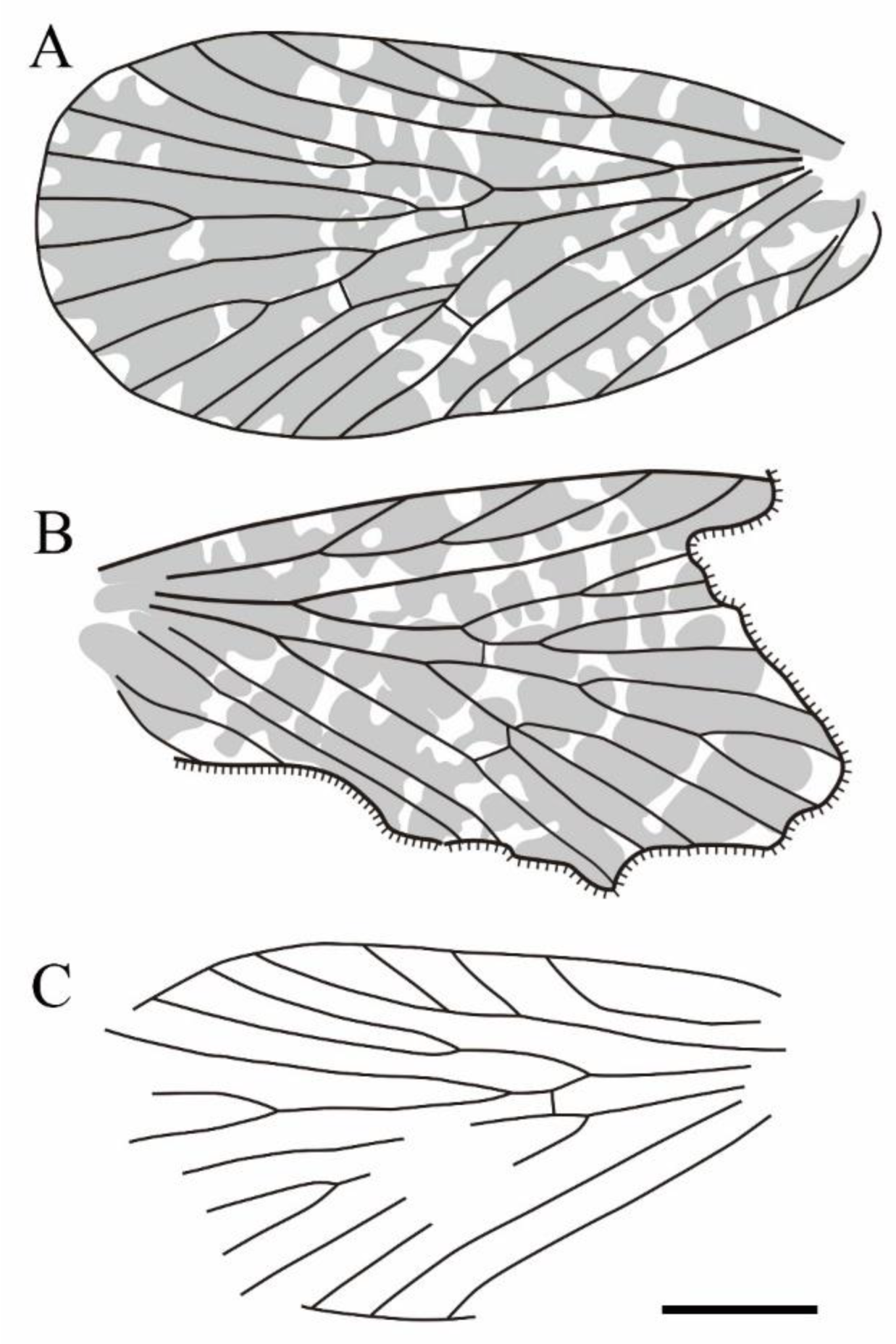 Insects 14 00096 g011