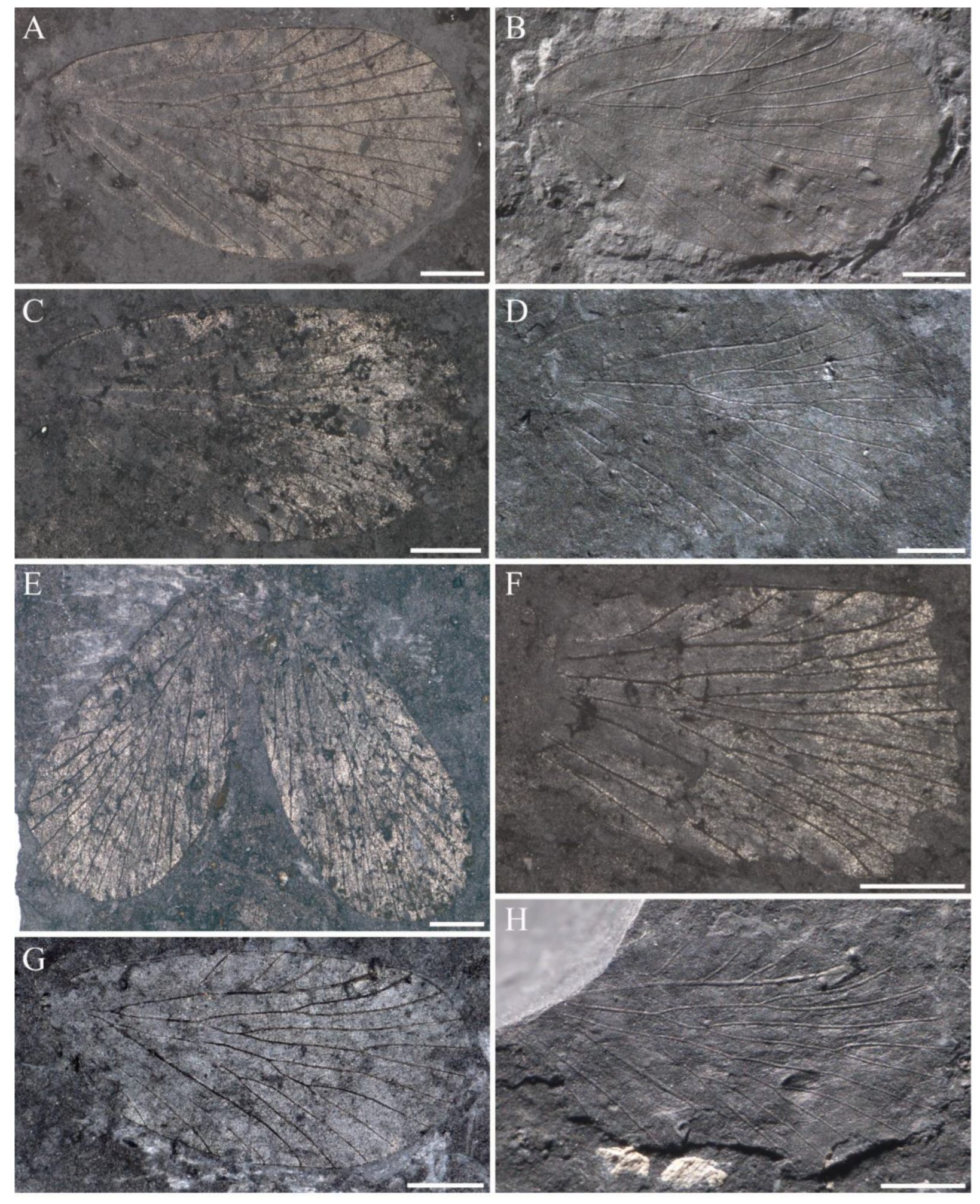 Insects 14 00096 g017