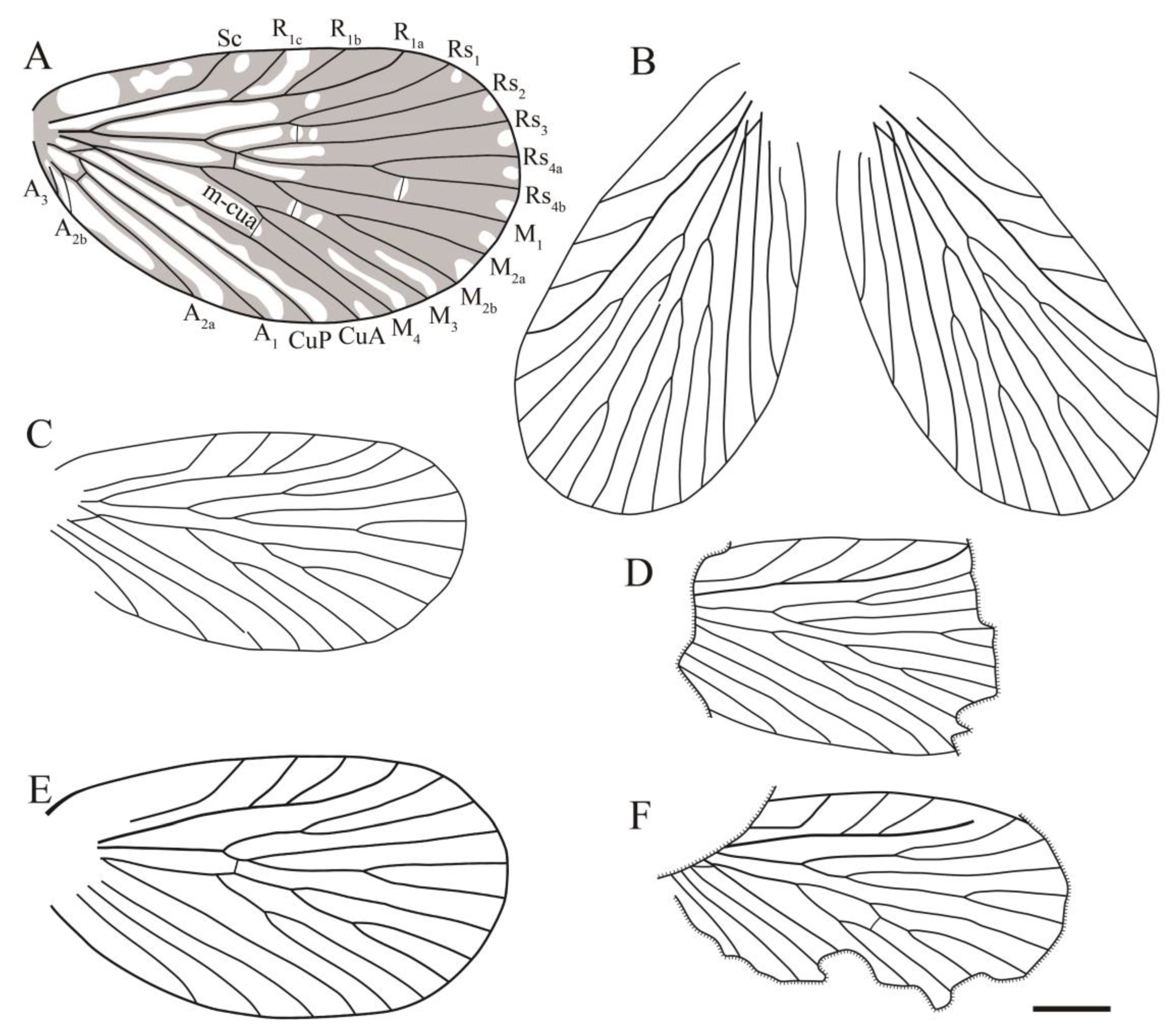 Insects 14 00096 g018