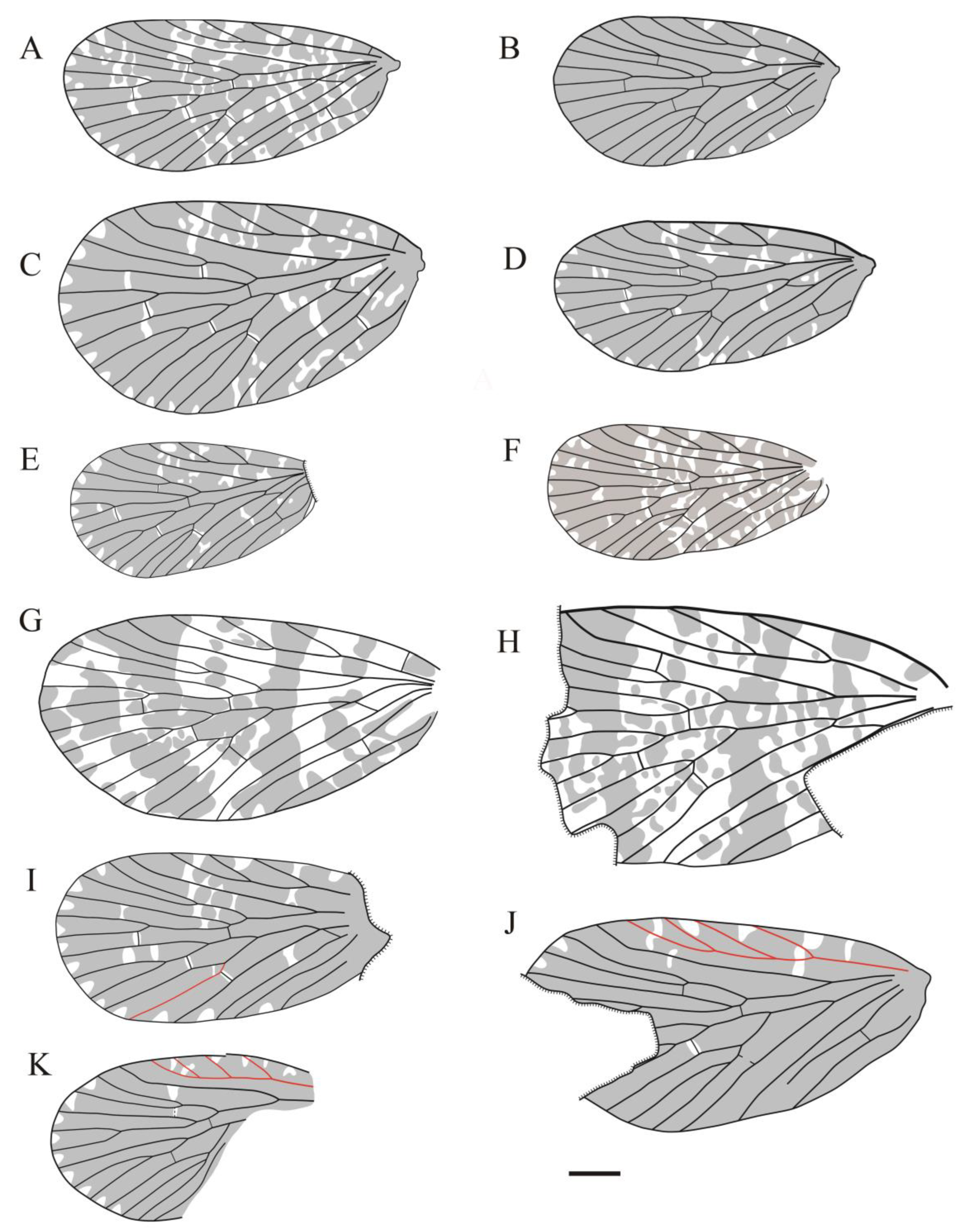 Insects 14 00096 g019