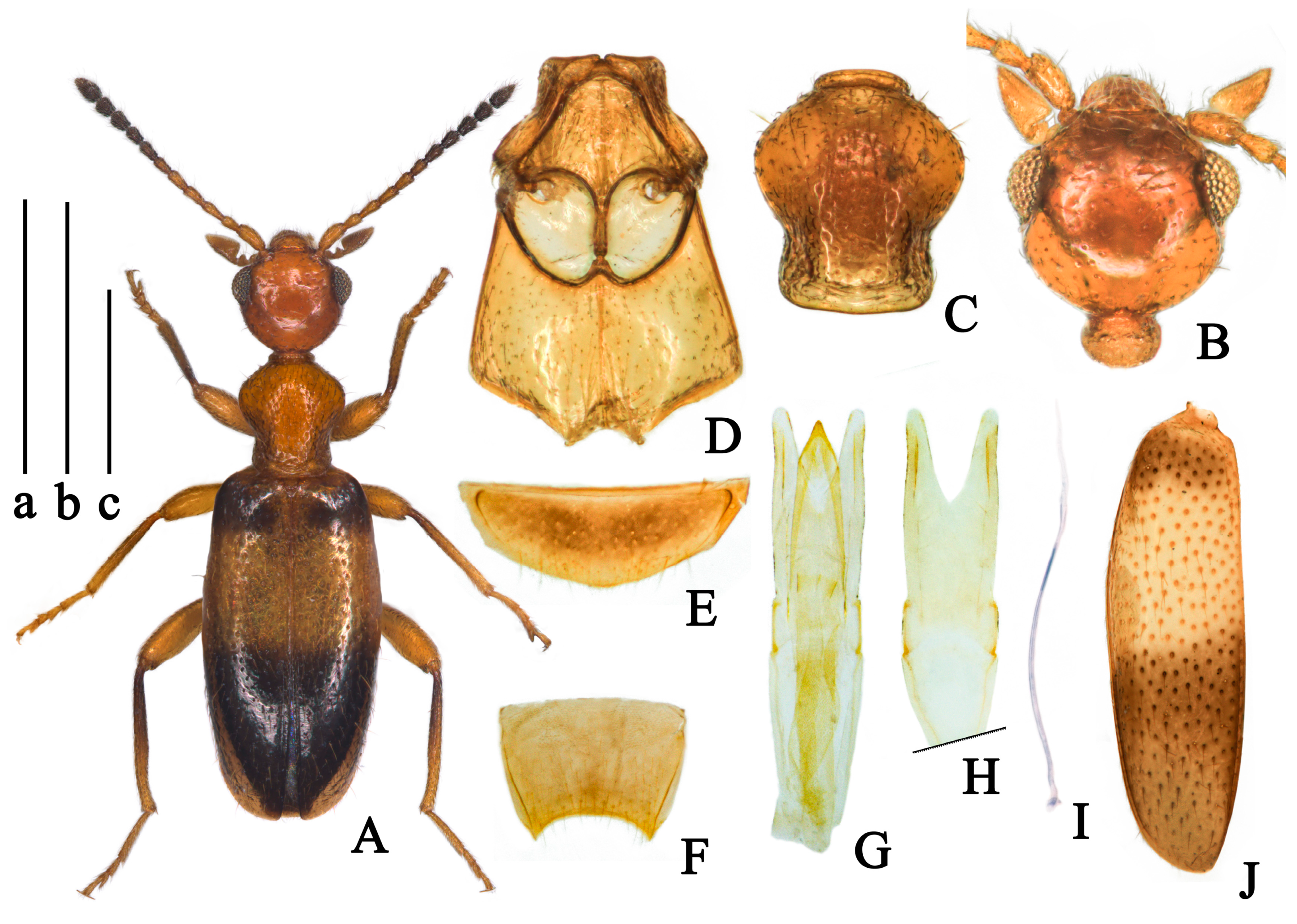 Insects 14 00102 g004