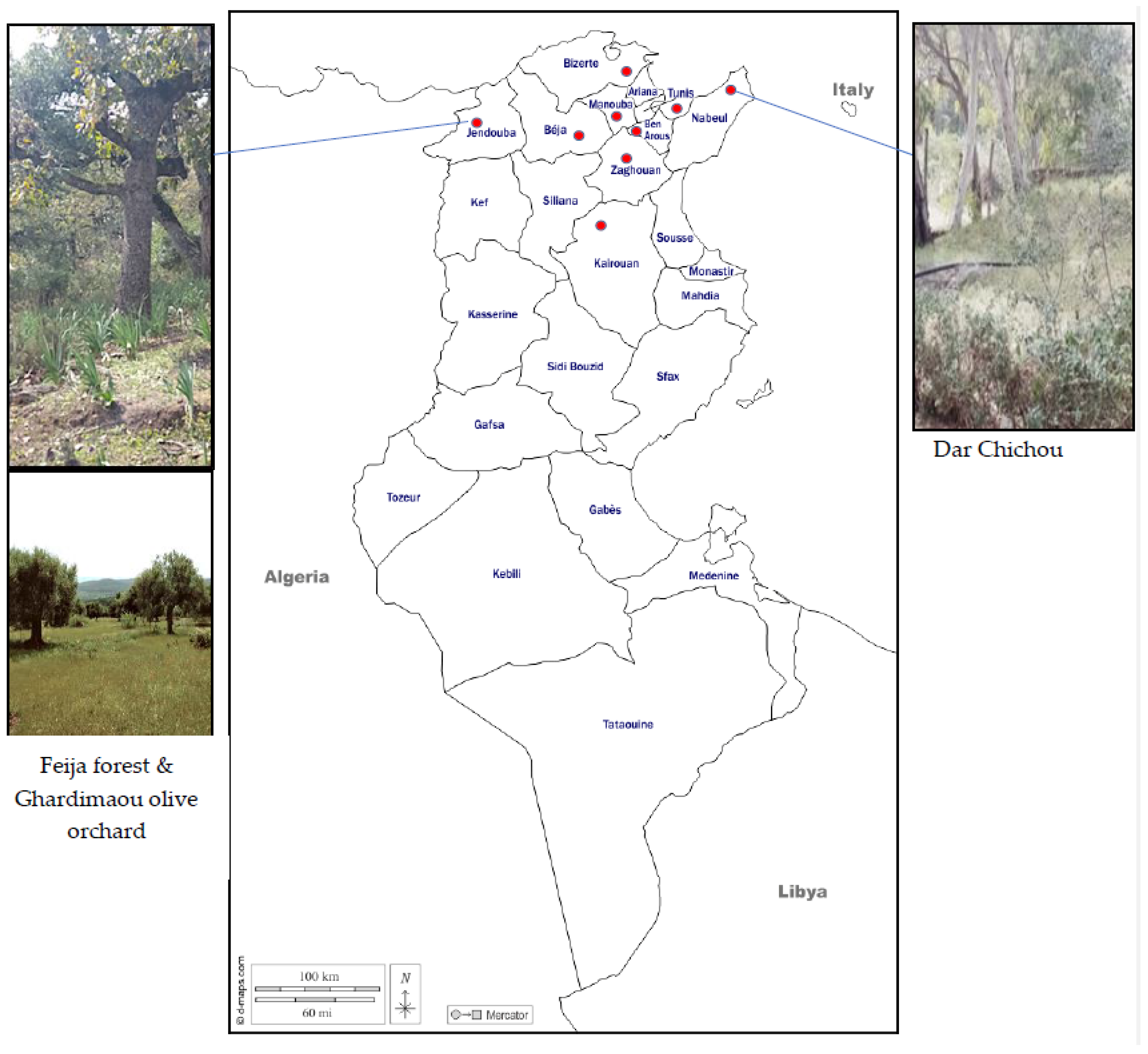 Insects 14 00119 g001