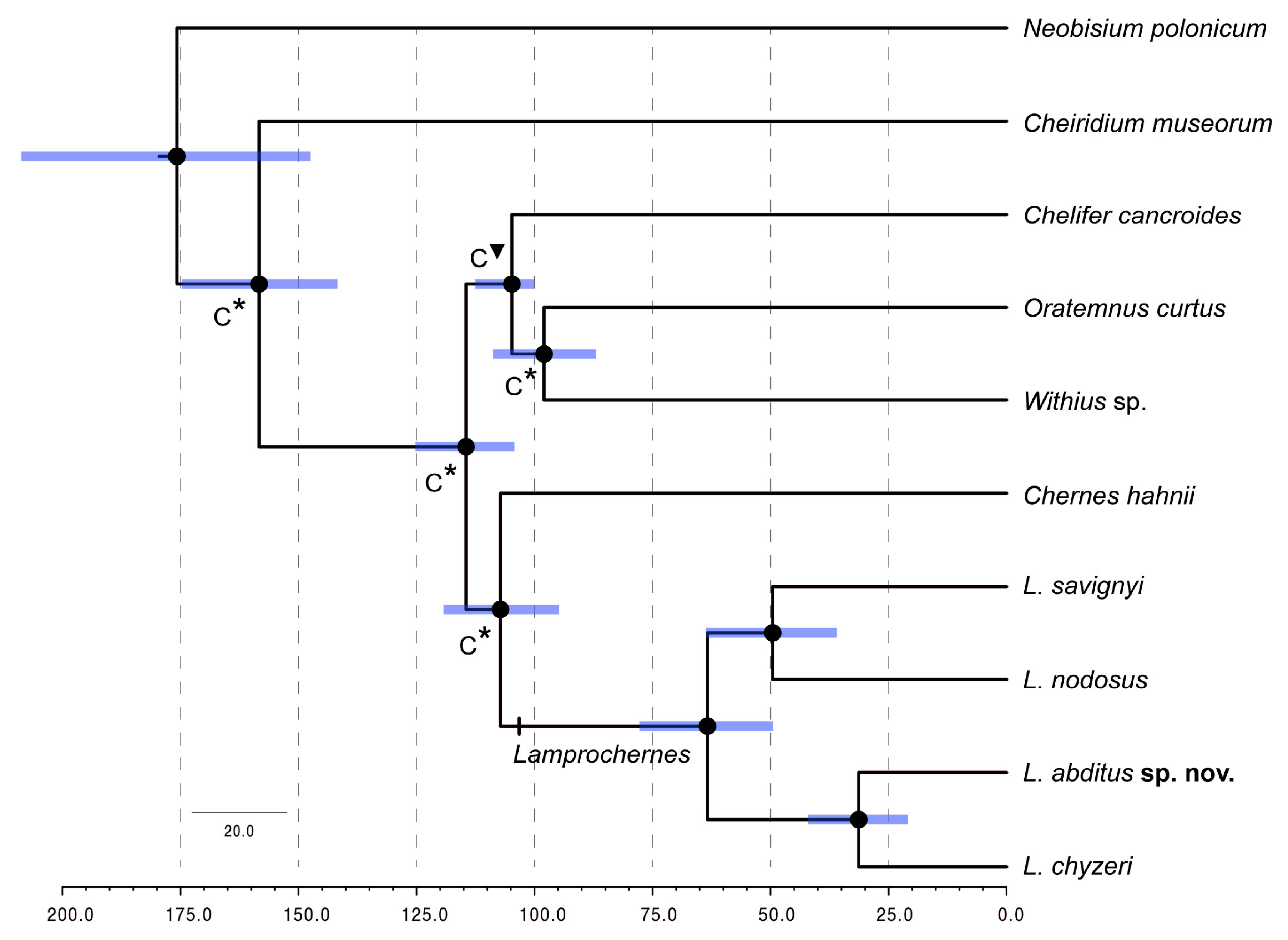 Insects 14 00122 g004 Insects 14 00122 g004
