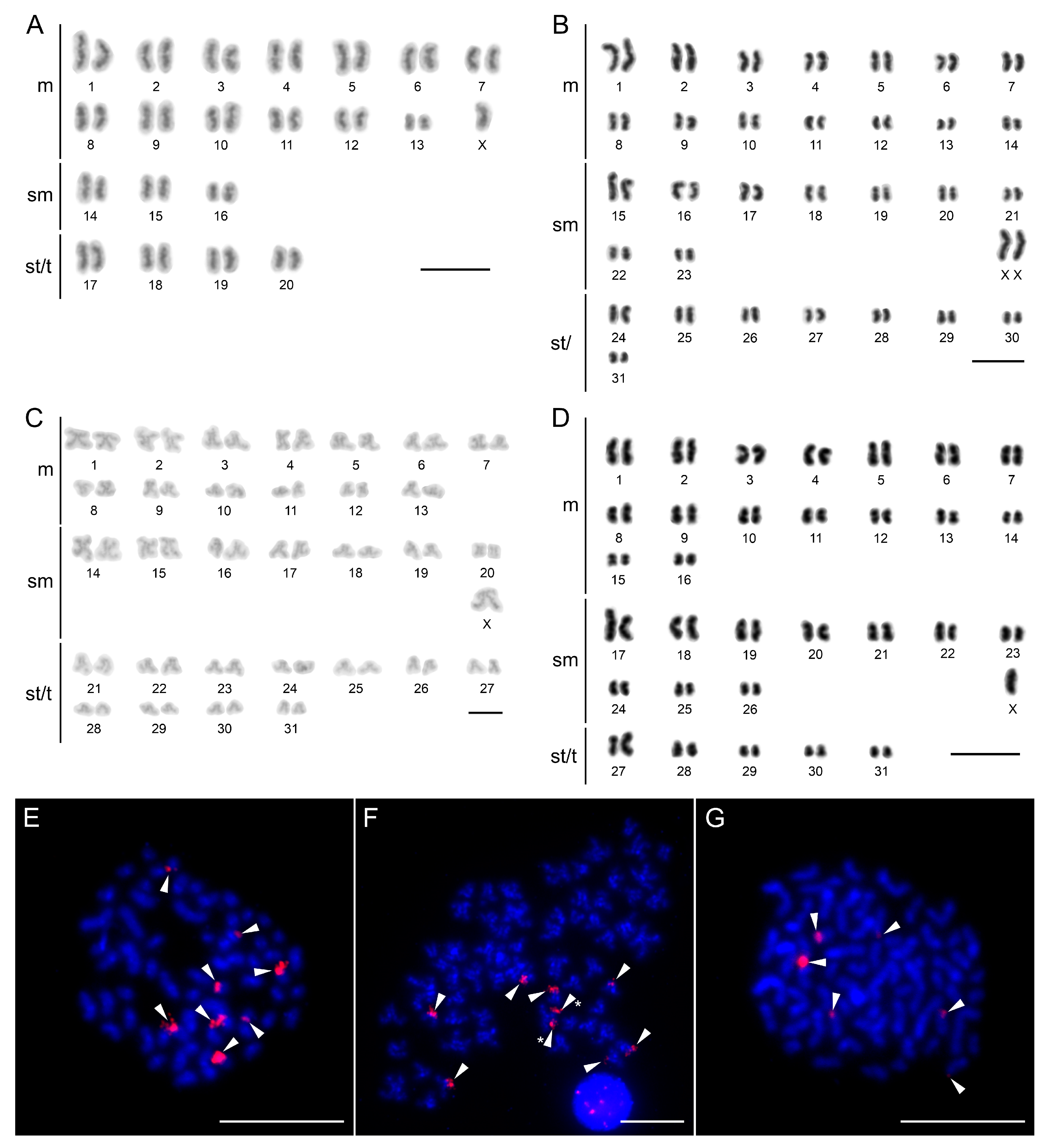 Insects 14 00122 g005 Insects 14 00122 g005