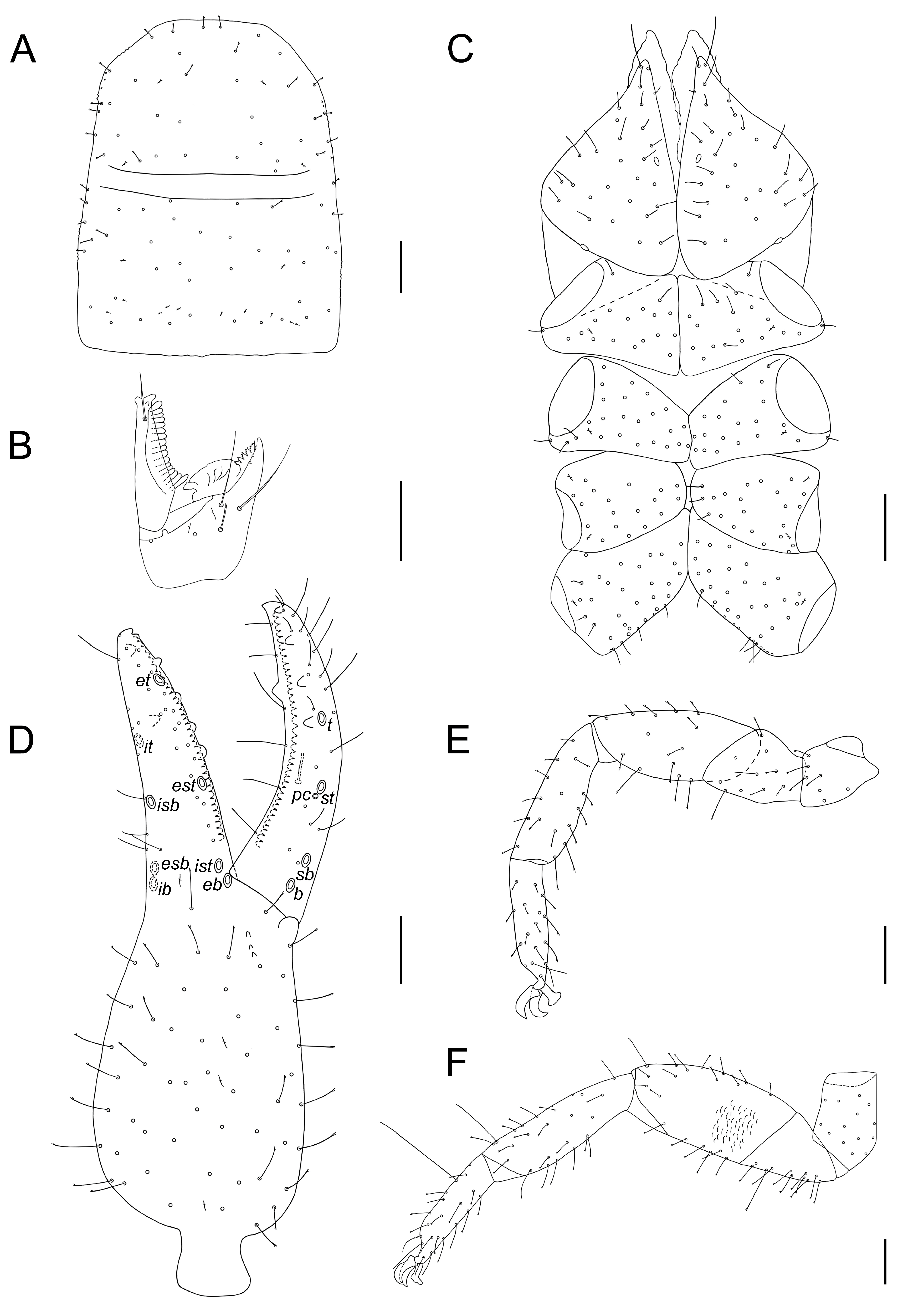 Insects 14 00122 g007 Insects 14 00122 g007