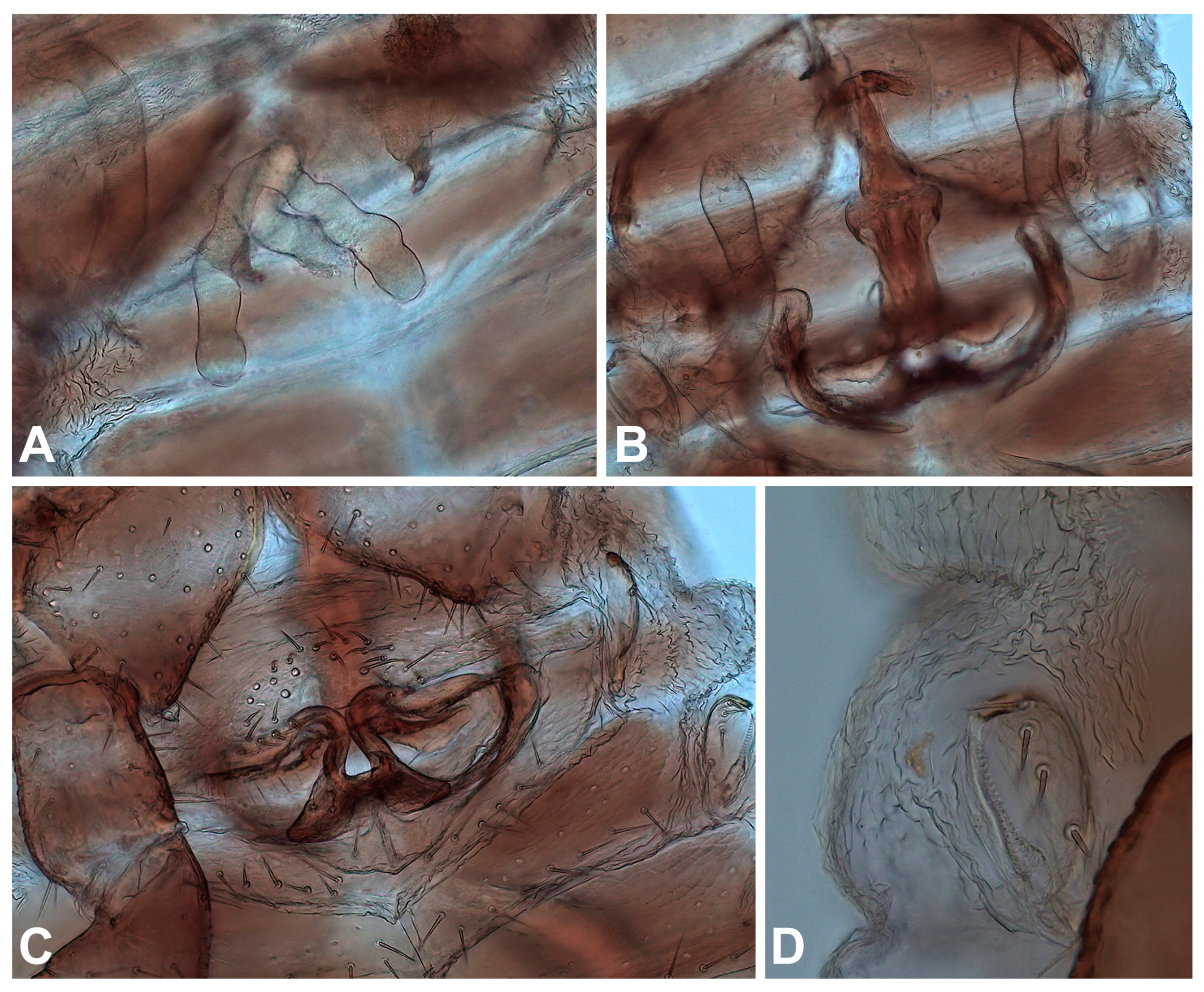 Insects 14 00122 g009 Insects 14 00122 g009