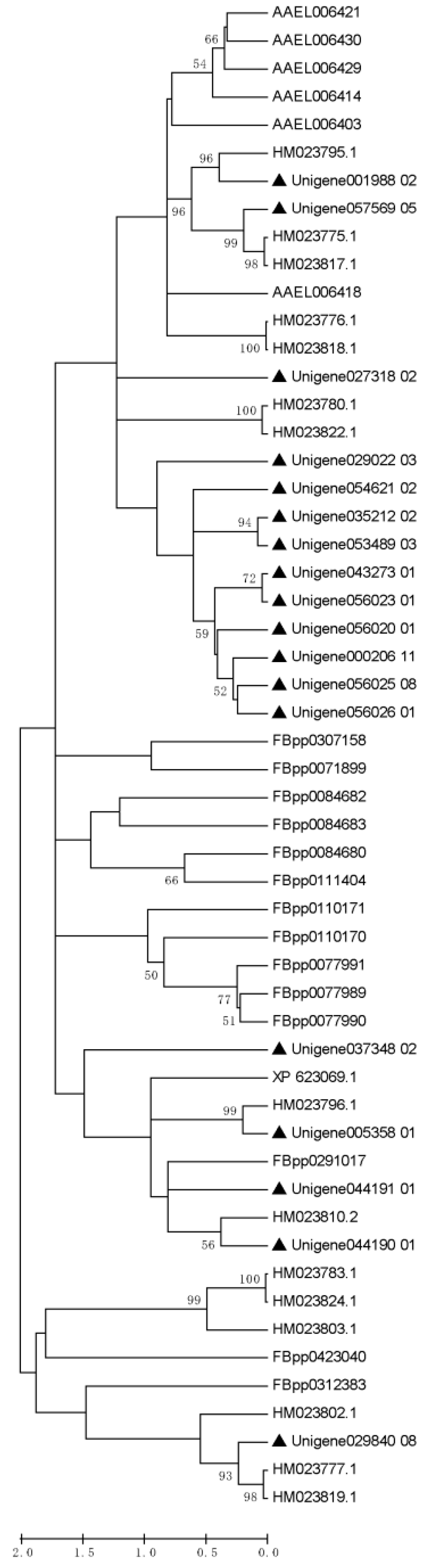 Insects 14 00132 g005 Insects 14 00132 g005