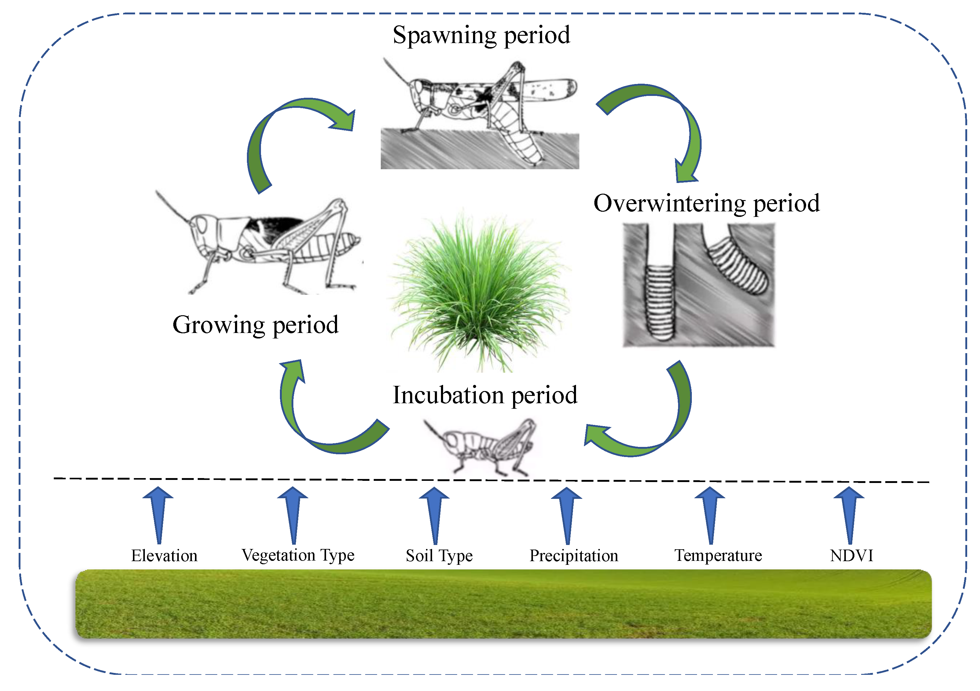 Insects 14 00138 g001 Insects 14 00138 g001