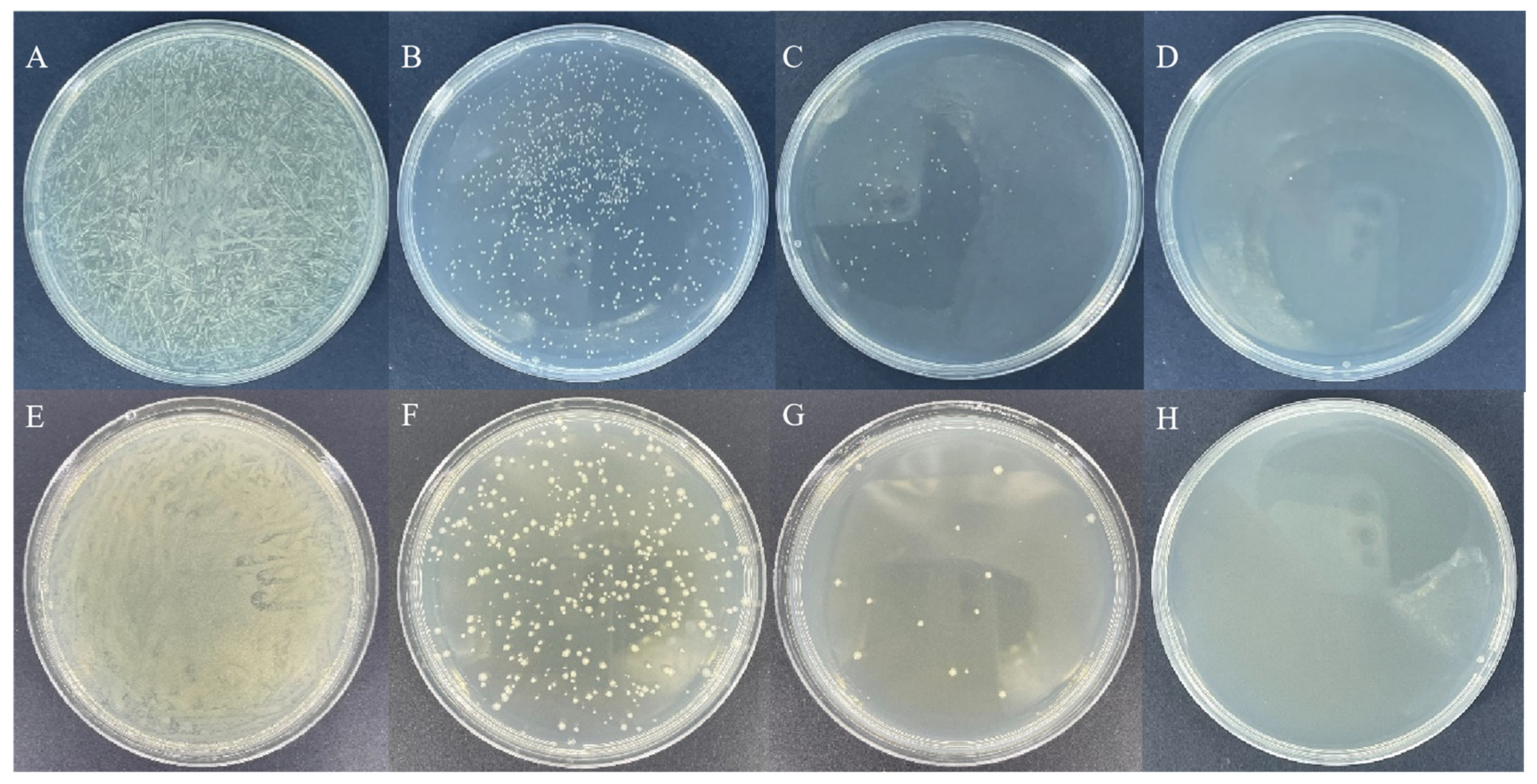 Insects 14 00140 g001 Insects 14 00140 g001