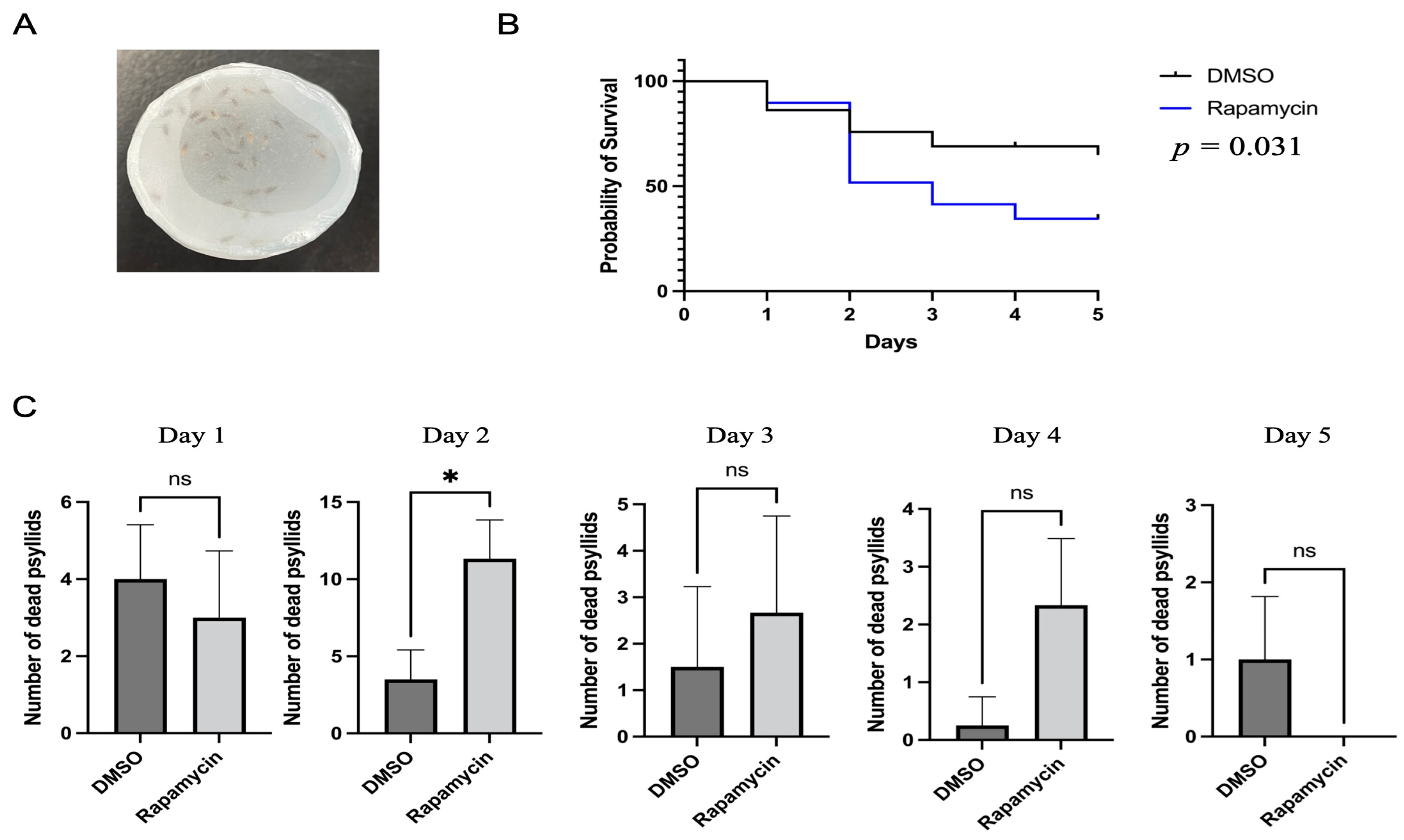 Insects 14 00142 g001 Insects 14 00142 g001