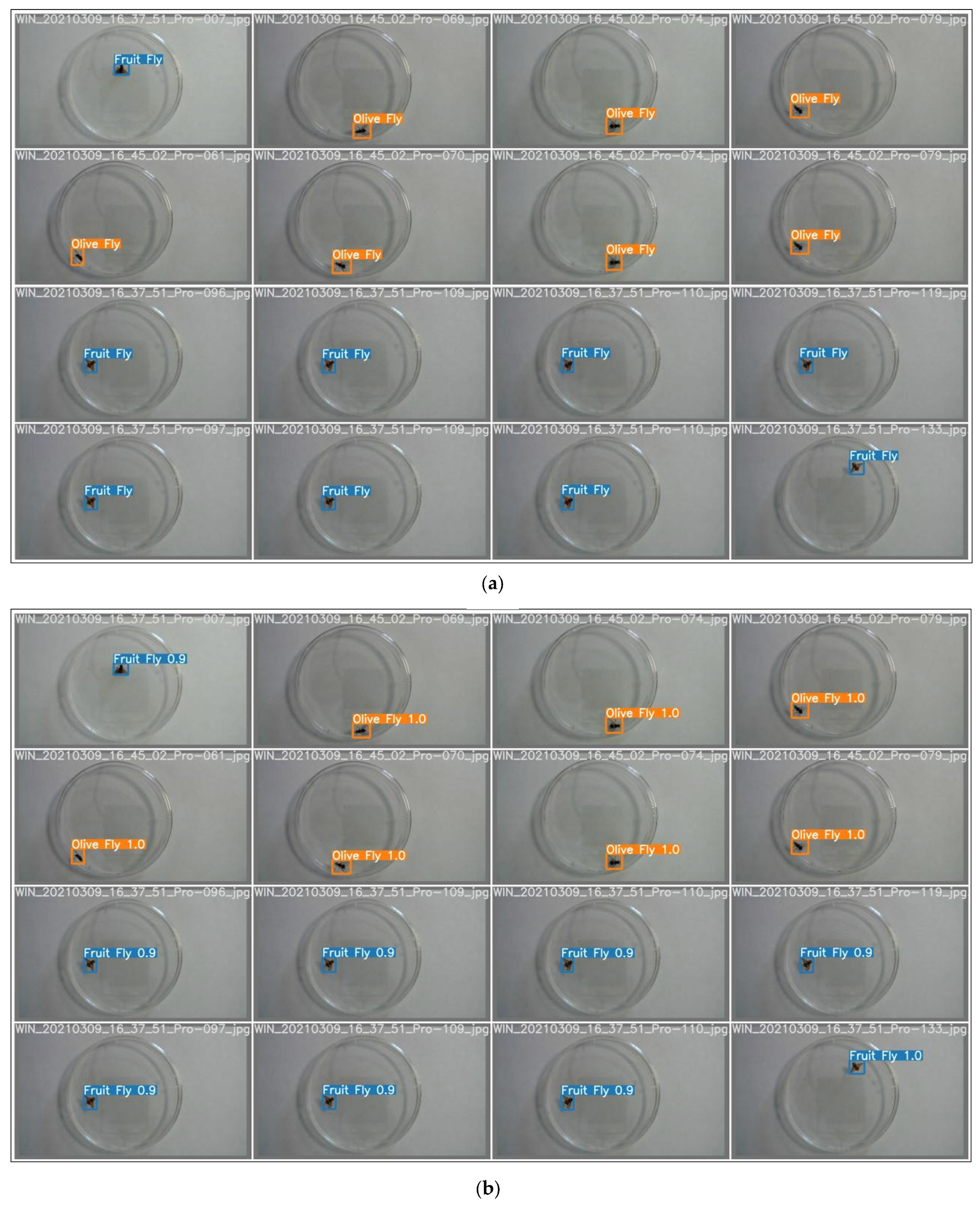 Insects 14 00148 g007 Insects 14 00148 g007