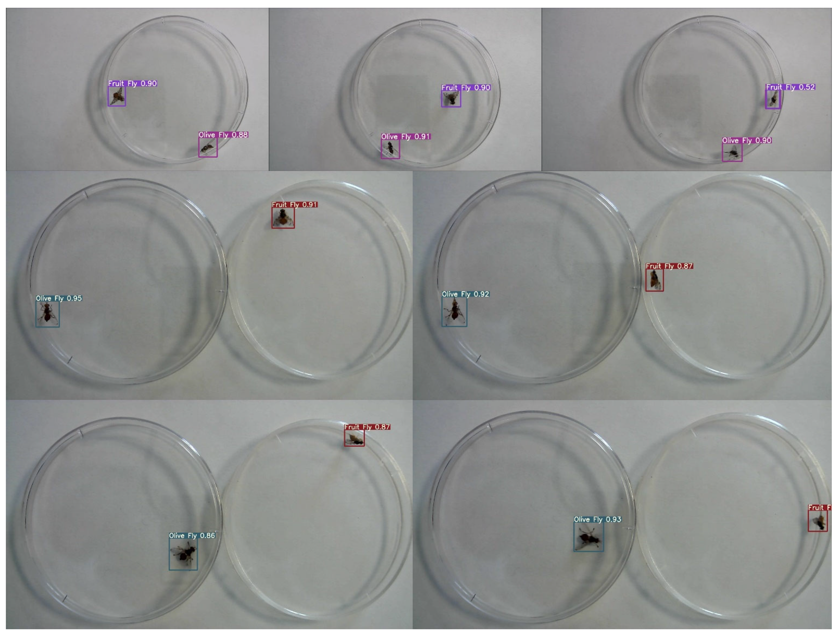 Insects 14 00148 g008 Insects 14 00148 g008
