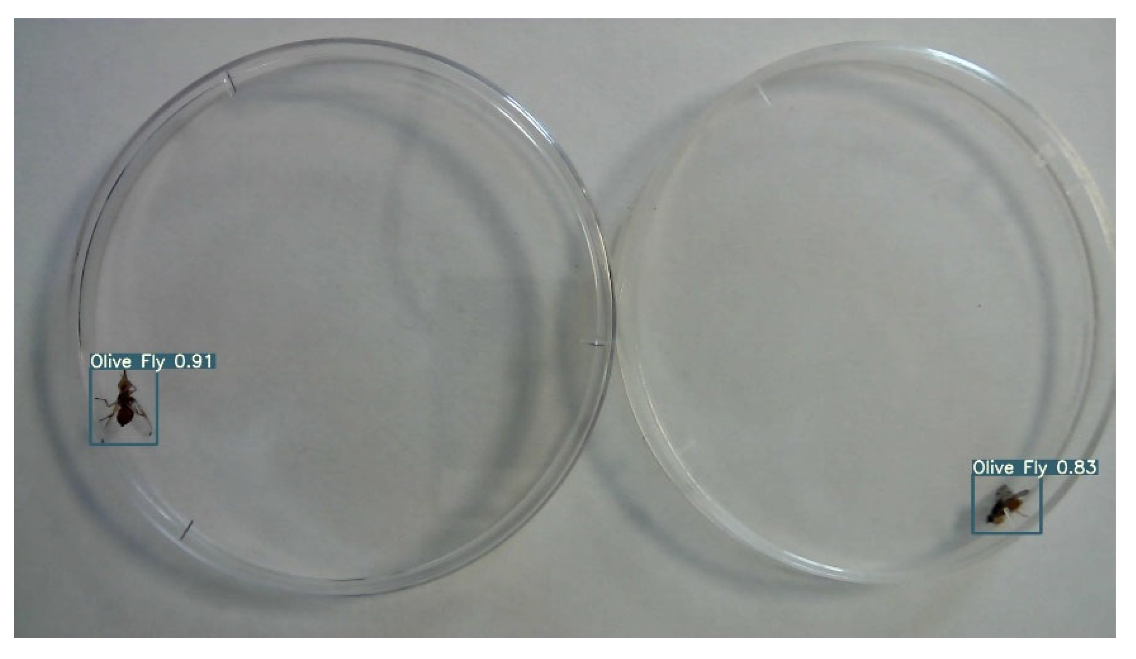 Insects 14 00148 g009 Insects 14 00148 g009